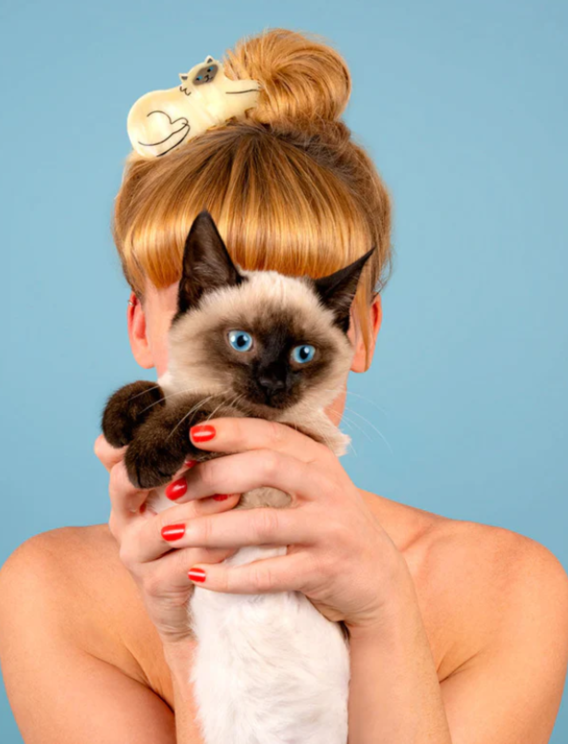 קליפס לשיער Siamese Cat