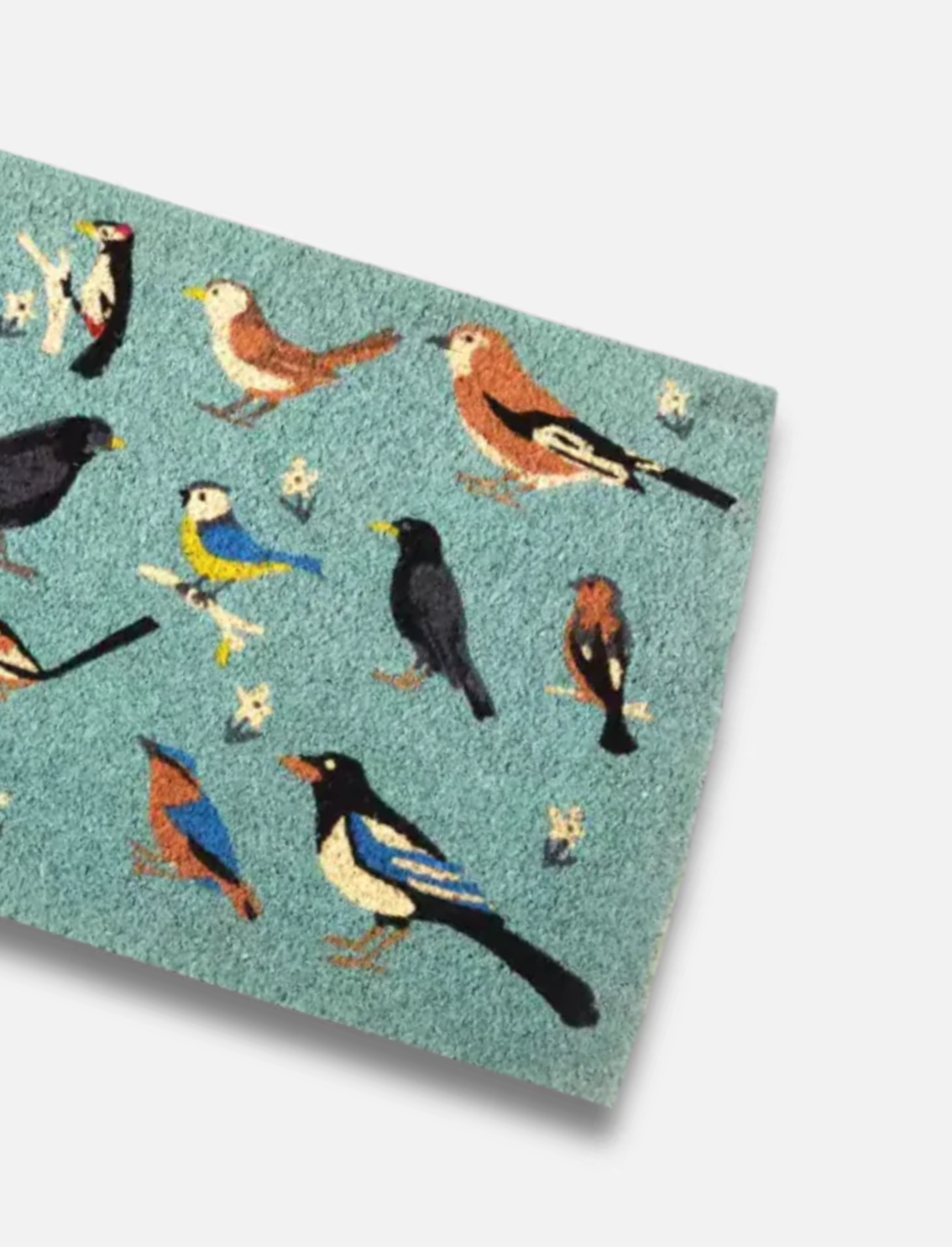 שטיח כניסה Birds