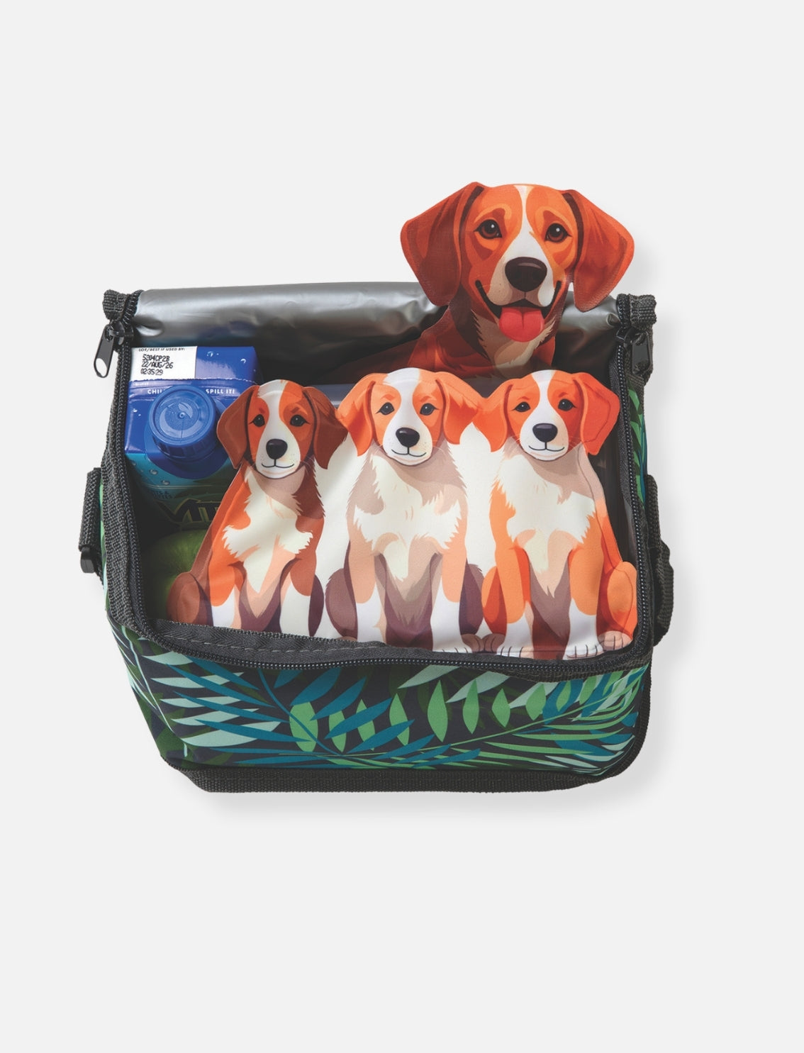 סט 2 קרחומים רכים Puppy