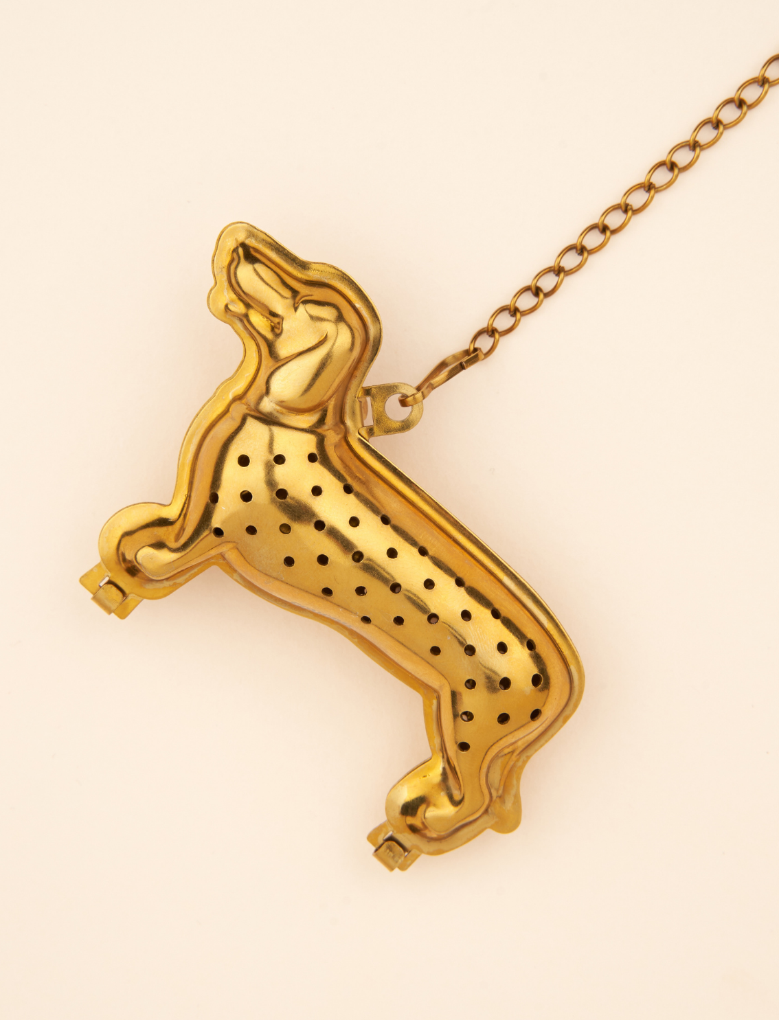 אינפיוזר לתה Dachshund