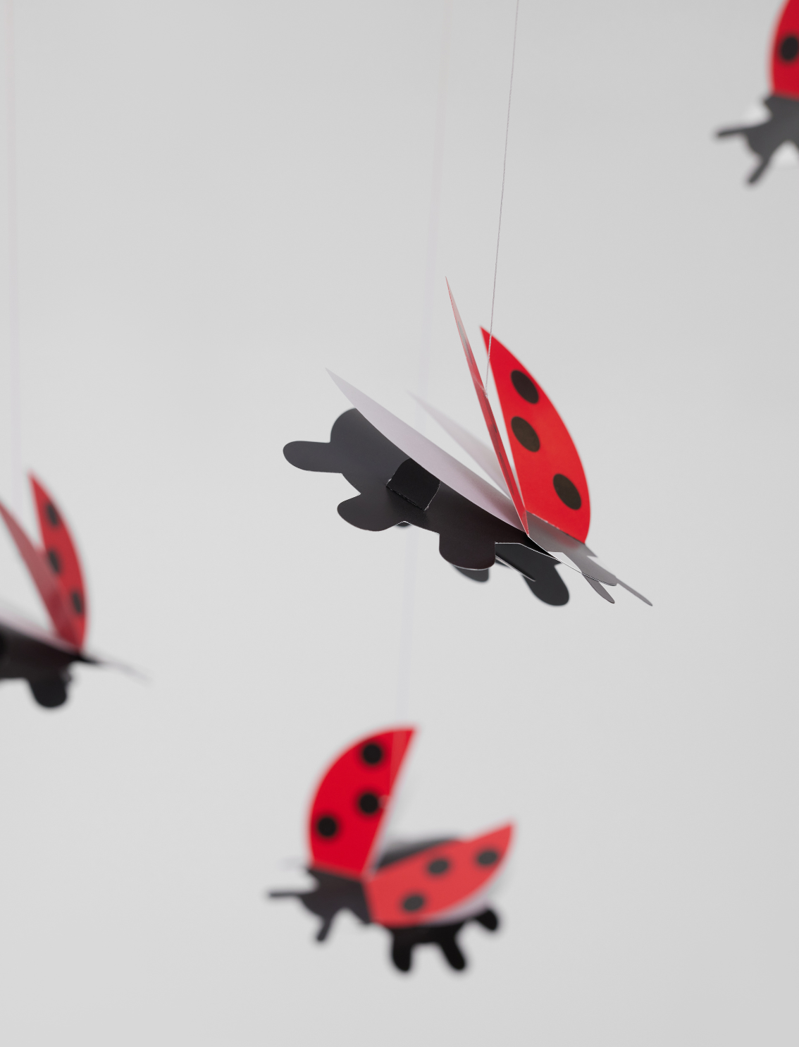 מובייל Ladybug