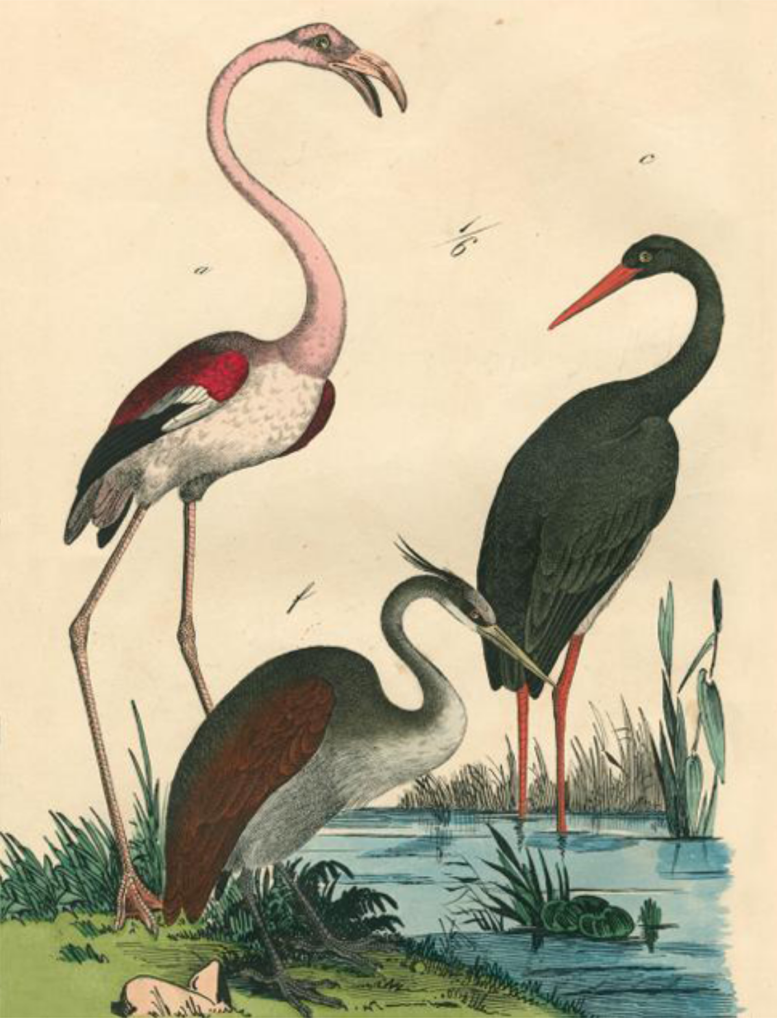 ספר מדבקות מאוירות John Derian 2