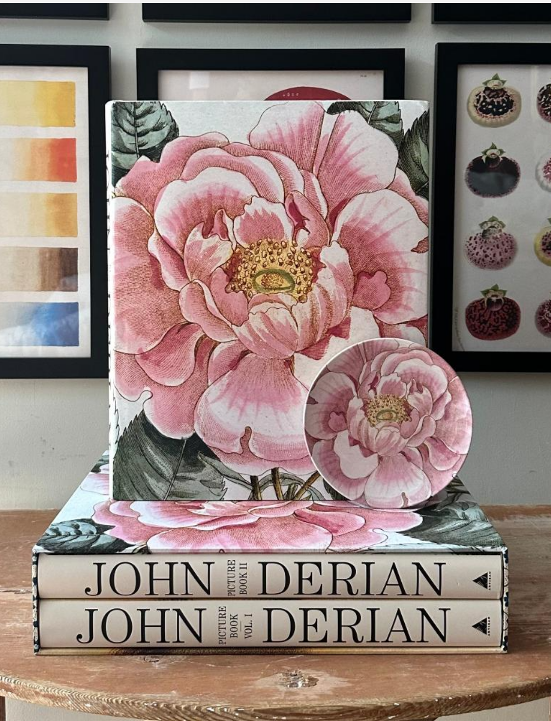 ספר מדבקות מאוירות John Derian 2