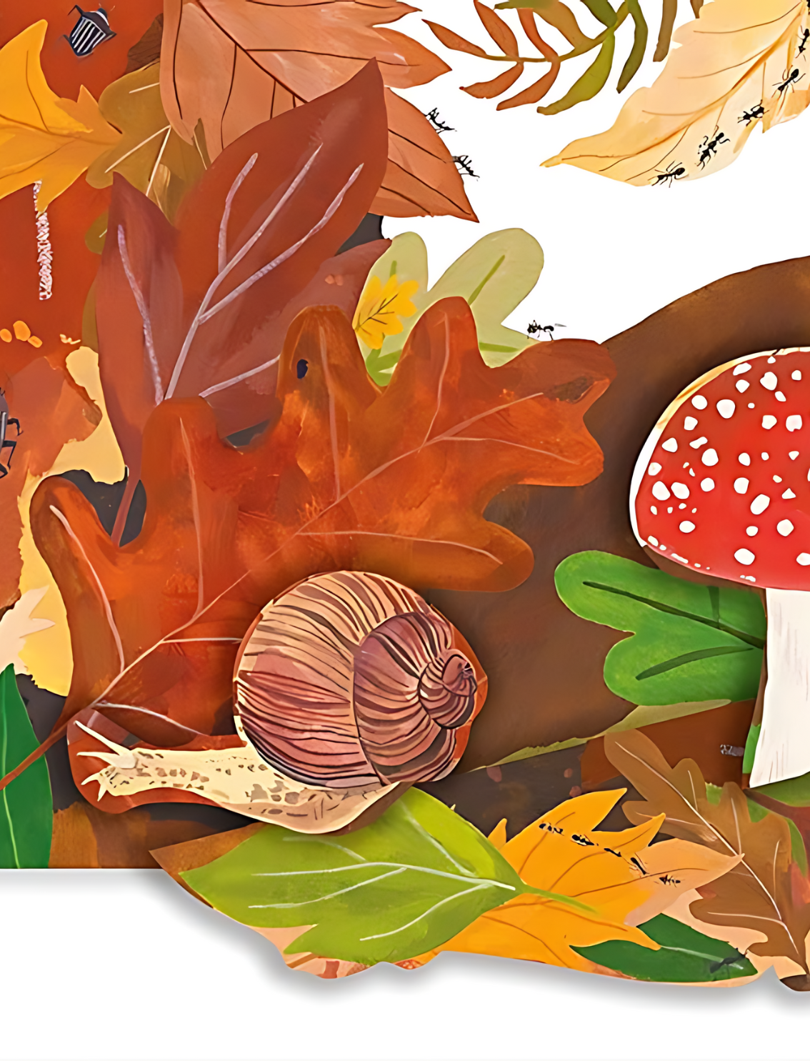 ספר פופ אפ: Peekaboo! Forest