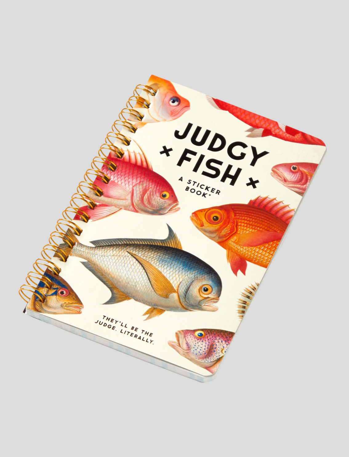 חוברת מדבקות Judgy Fish