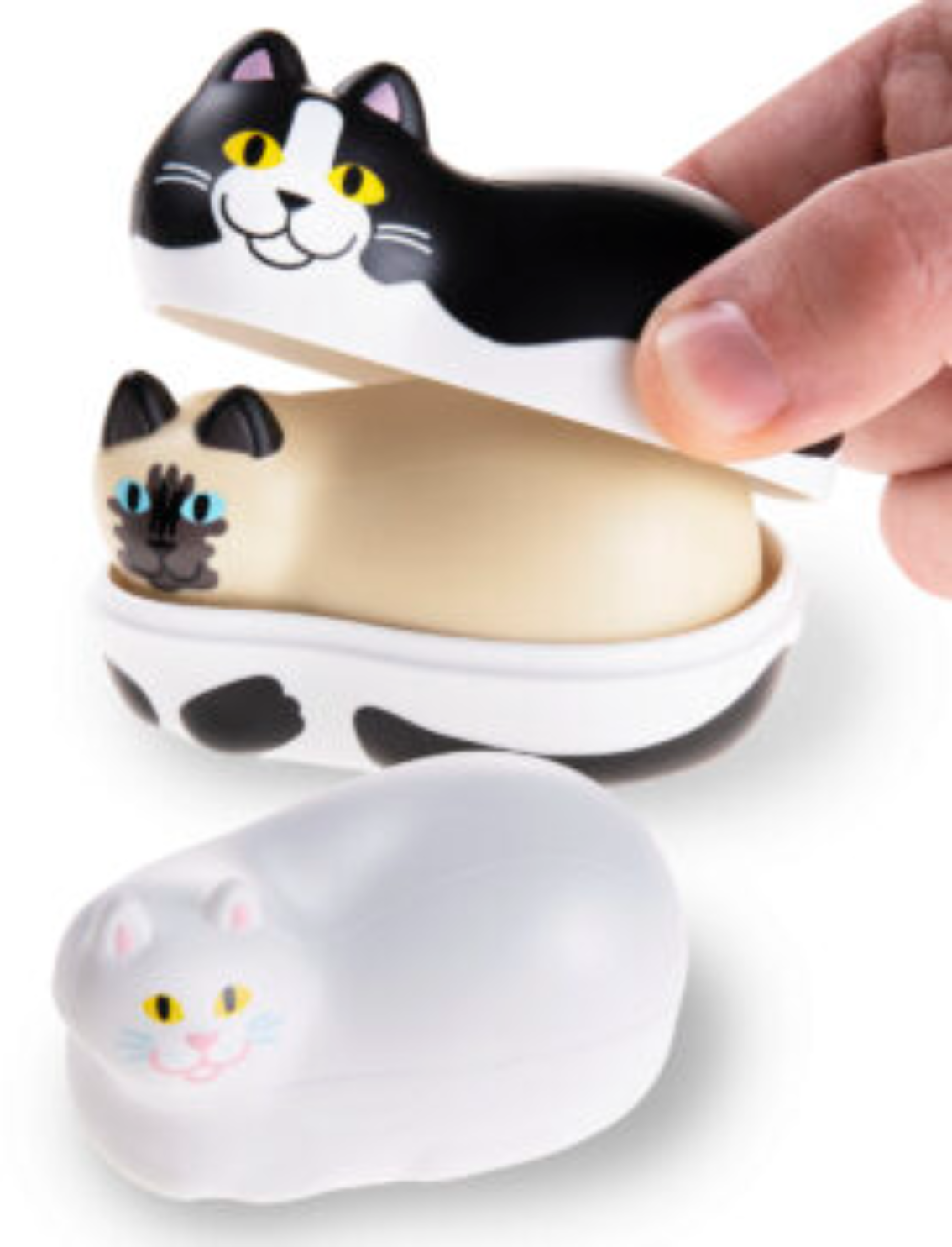 מארז מיני Chonk Cats