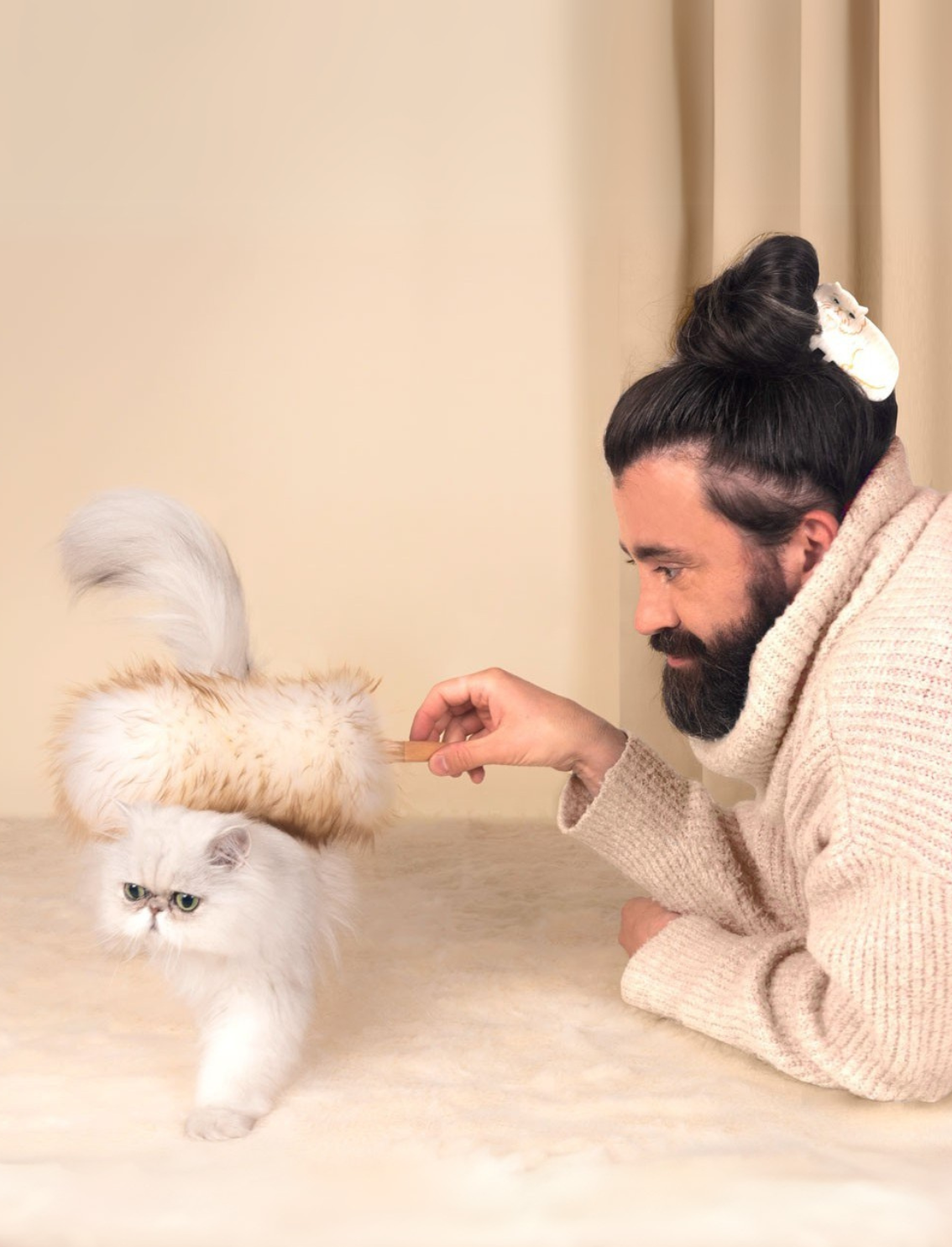 קליפס לשיער Persian Cat
