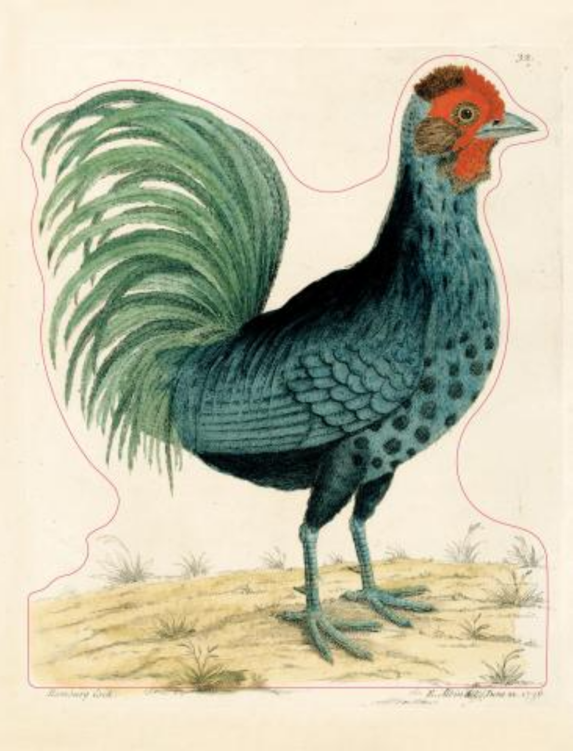 ספר מדבקות מאוירות John Derian 2