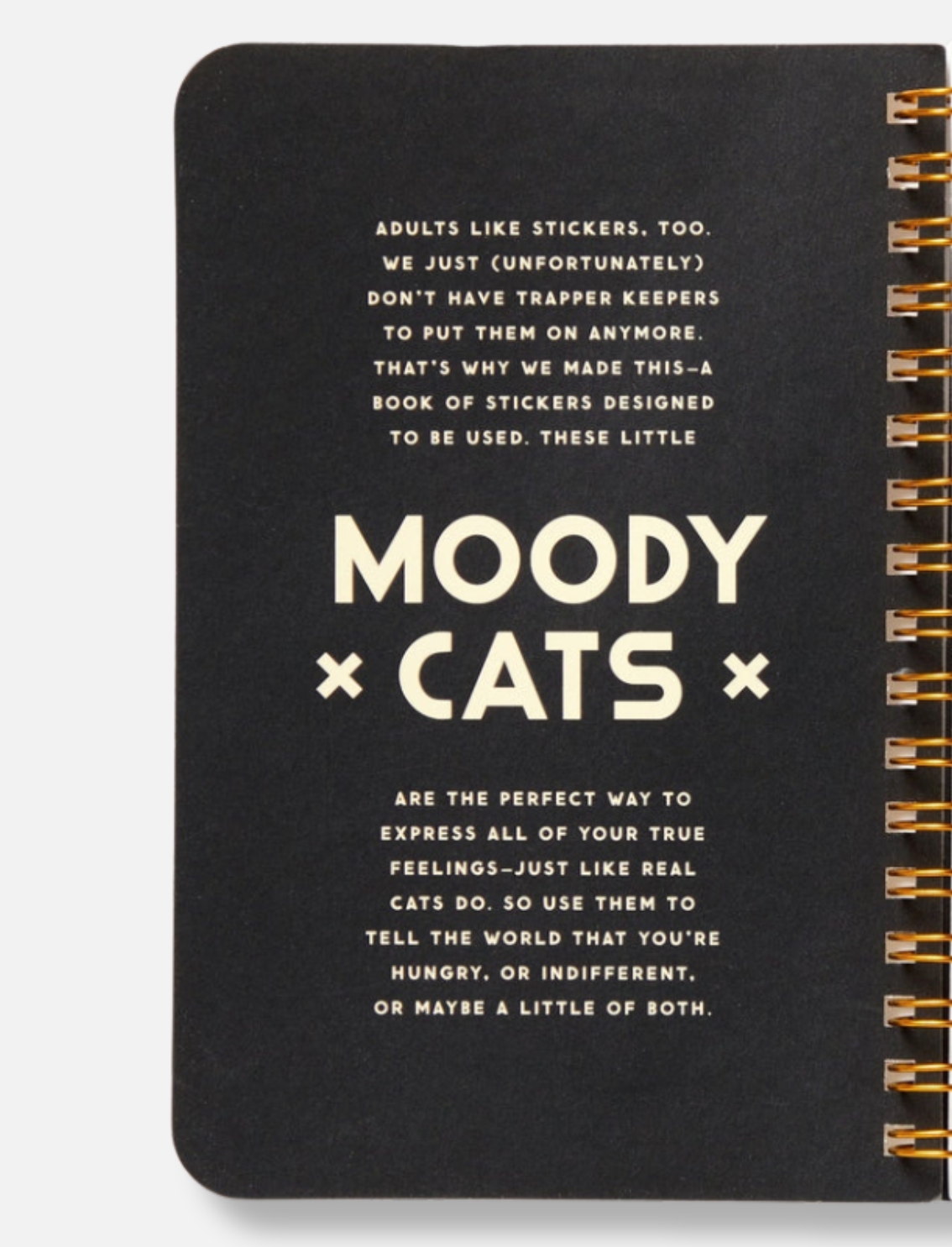 חוברת מדבקות Moody Cats