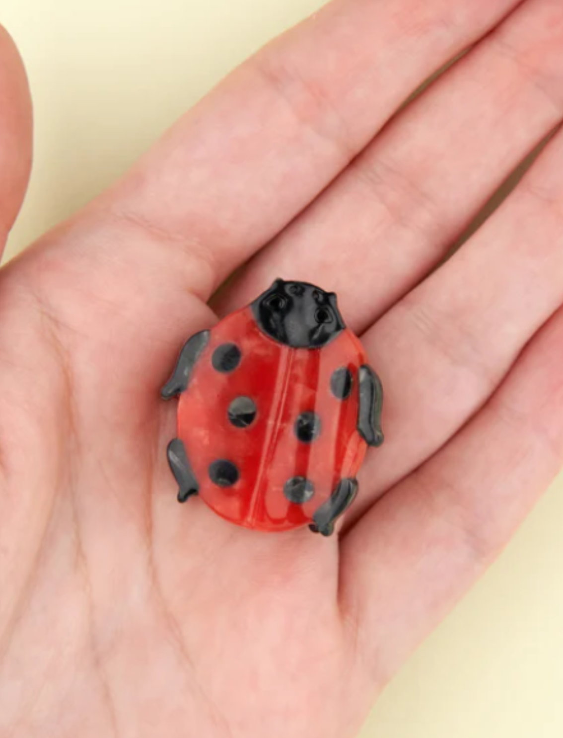 מארז מתנה Ladybug