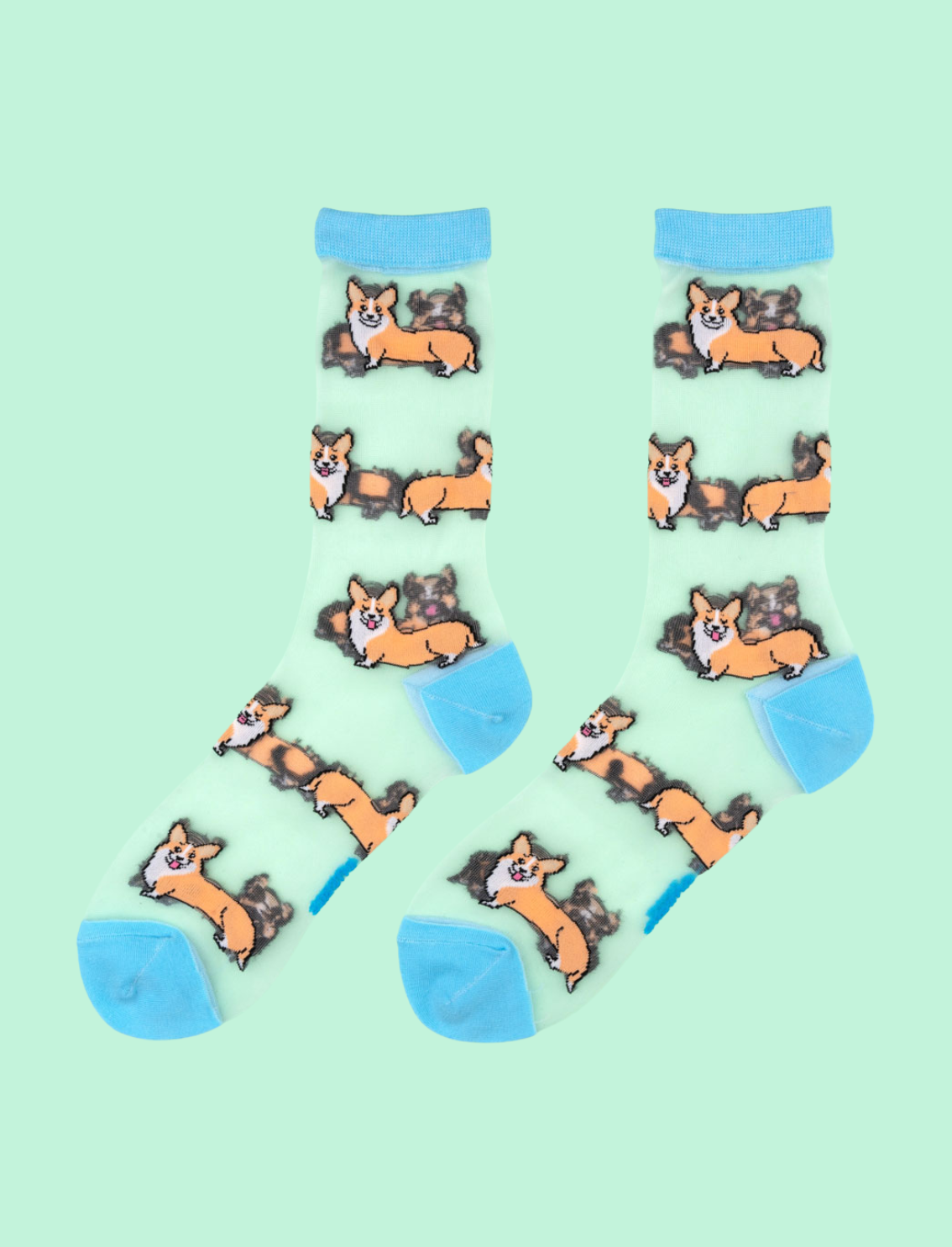 גרביים שקופות Corgi