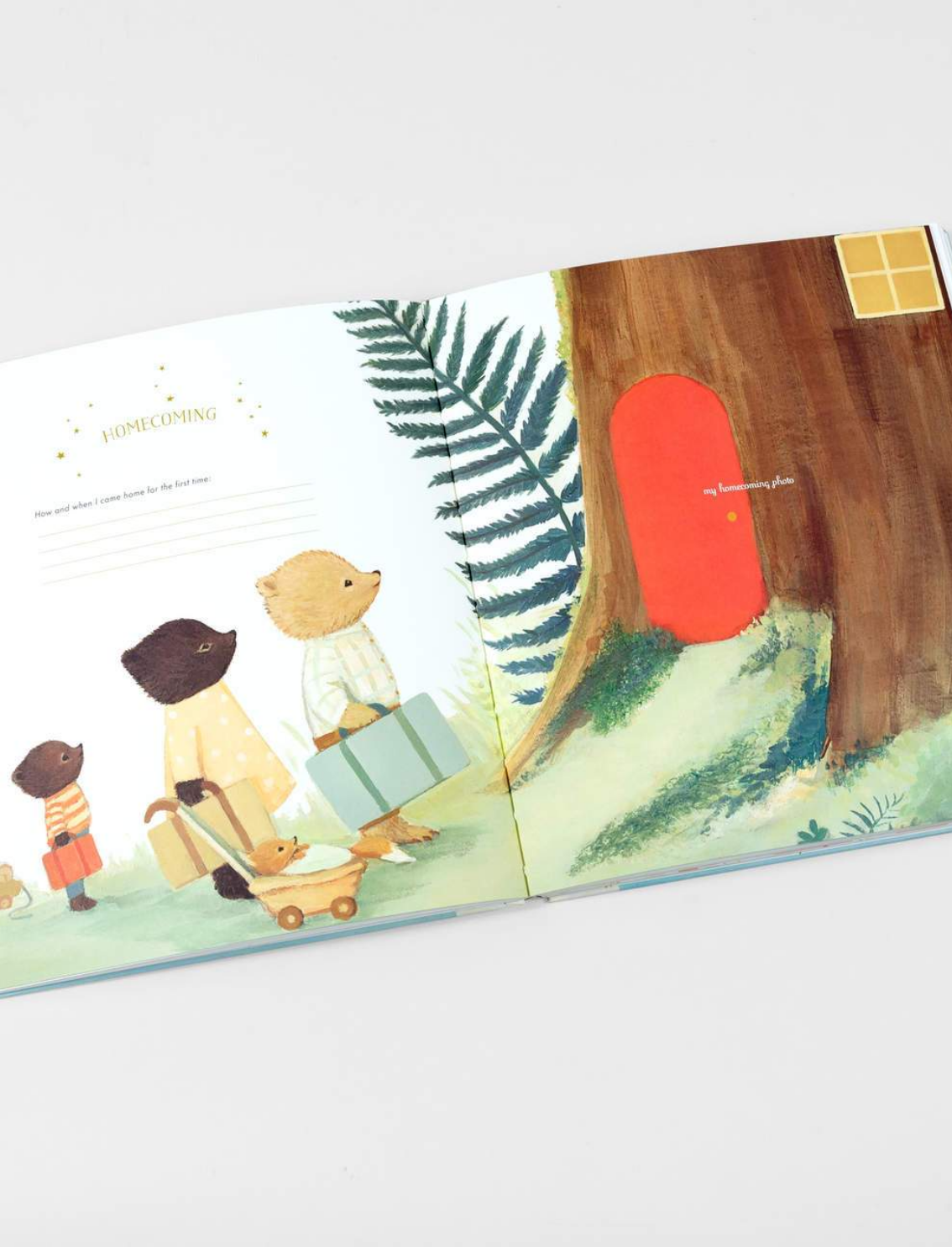 יומן מזכרות לתינוק: The Wonderful Baby You Are