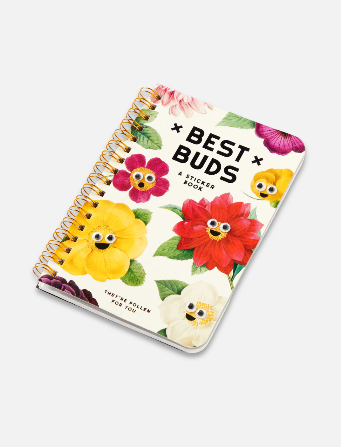 חוברת מדבקות Best Buds