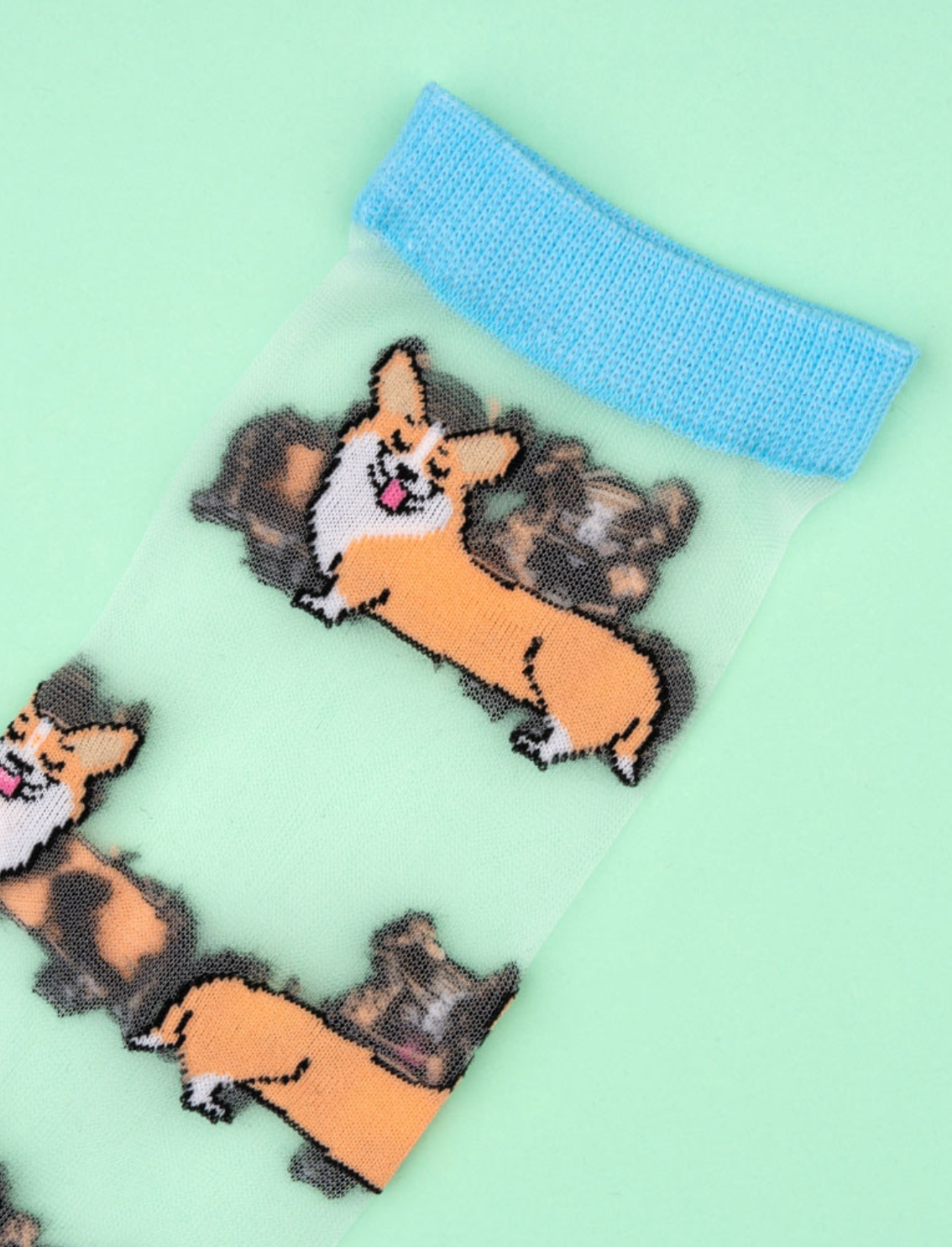 גרביים שקופות Corgi