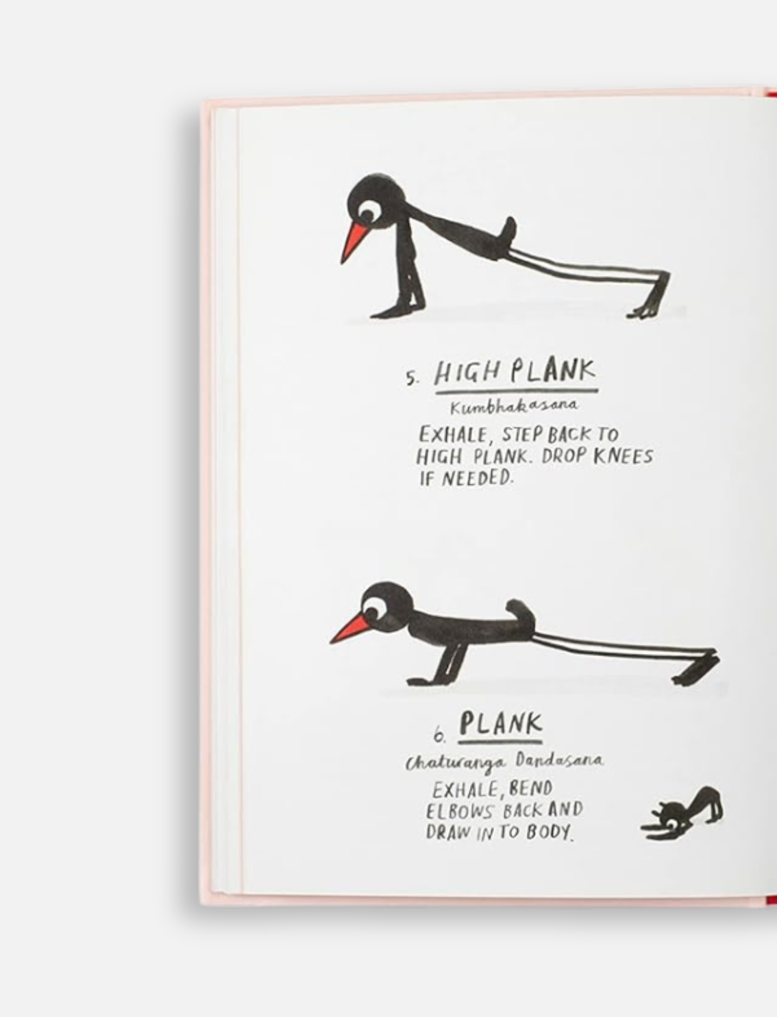 ספר התעמלות Yoga for Stiff Birds