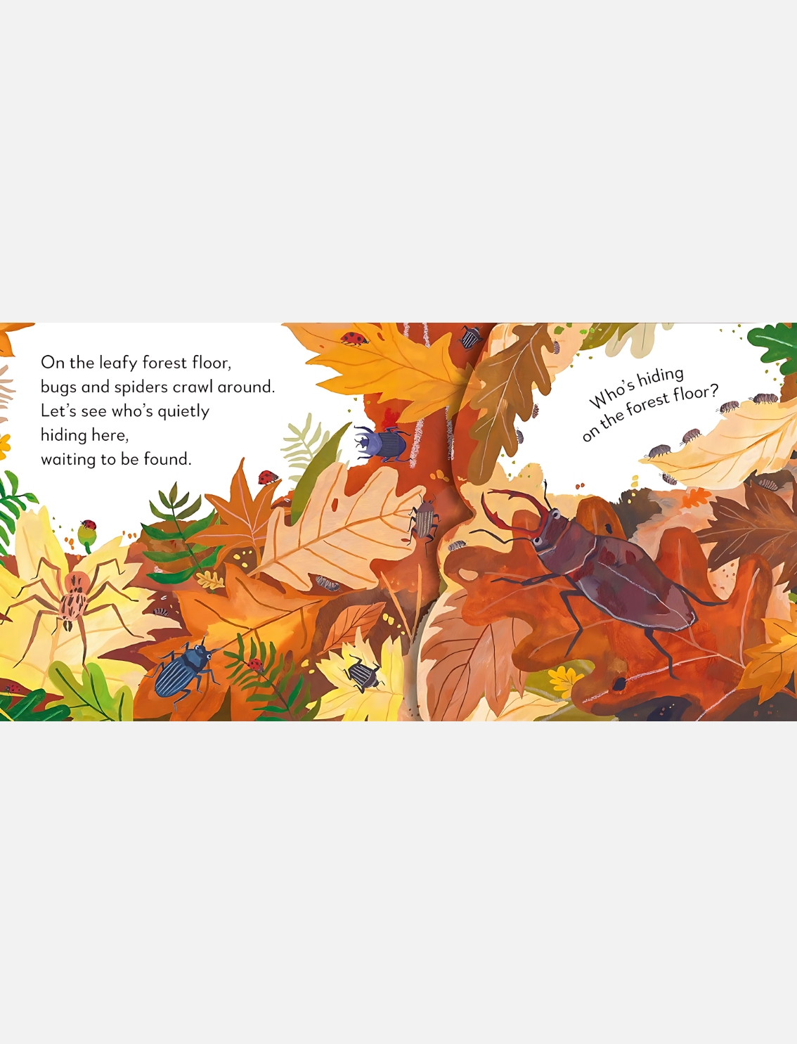 ספר פופ אפ: Peekaboo! Forest