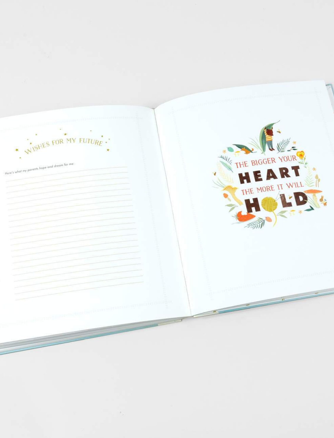 יומן מזכרות לתינוק: The Wonderful Baby You Are