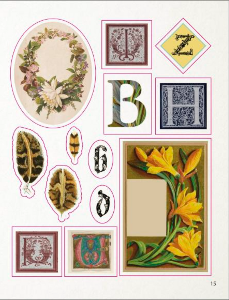 ספר מדבקות: The Bees, Birds & Butterflies Sticker Anthology