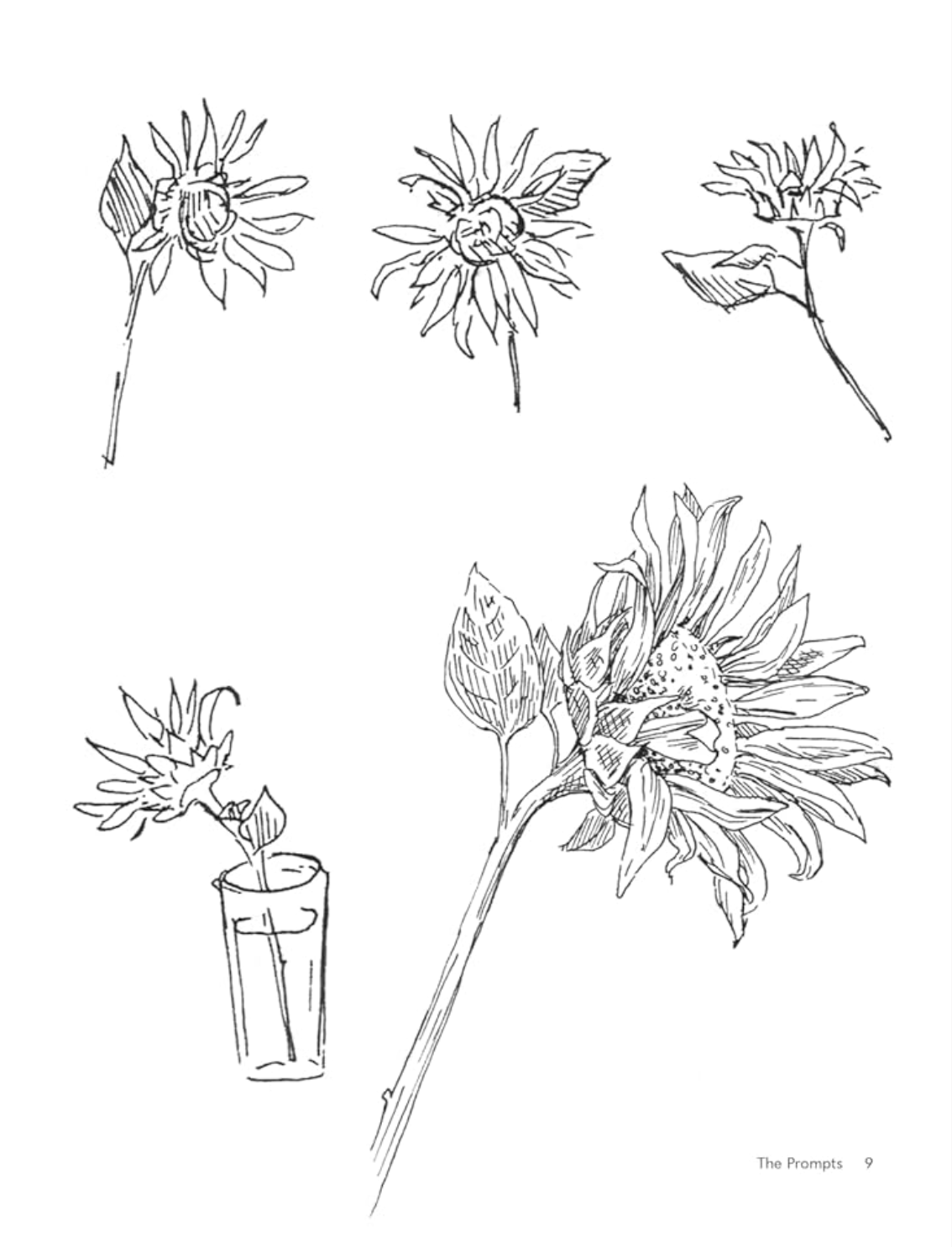 ספר יצירה: Pocket Prompts Drawing