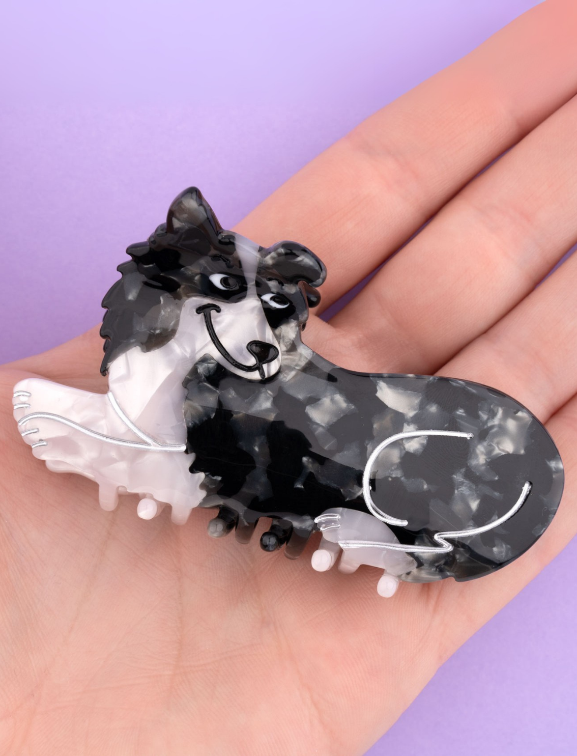 קליפס לשיער Border Collie