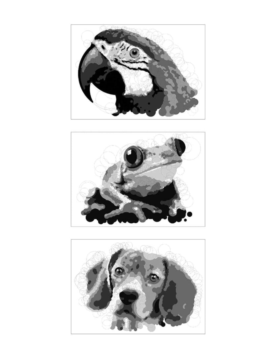 חוברת צביעה Querkles: Animals