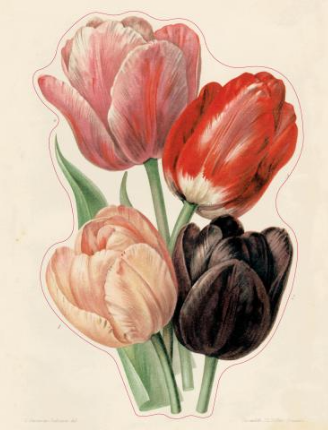 ספר מדבקות מאוירות John Derian 2