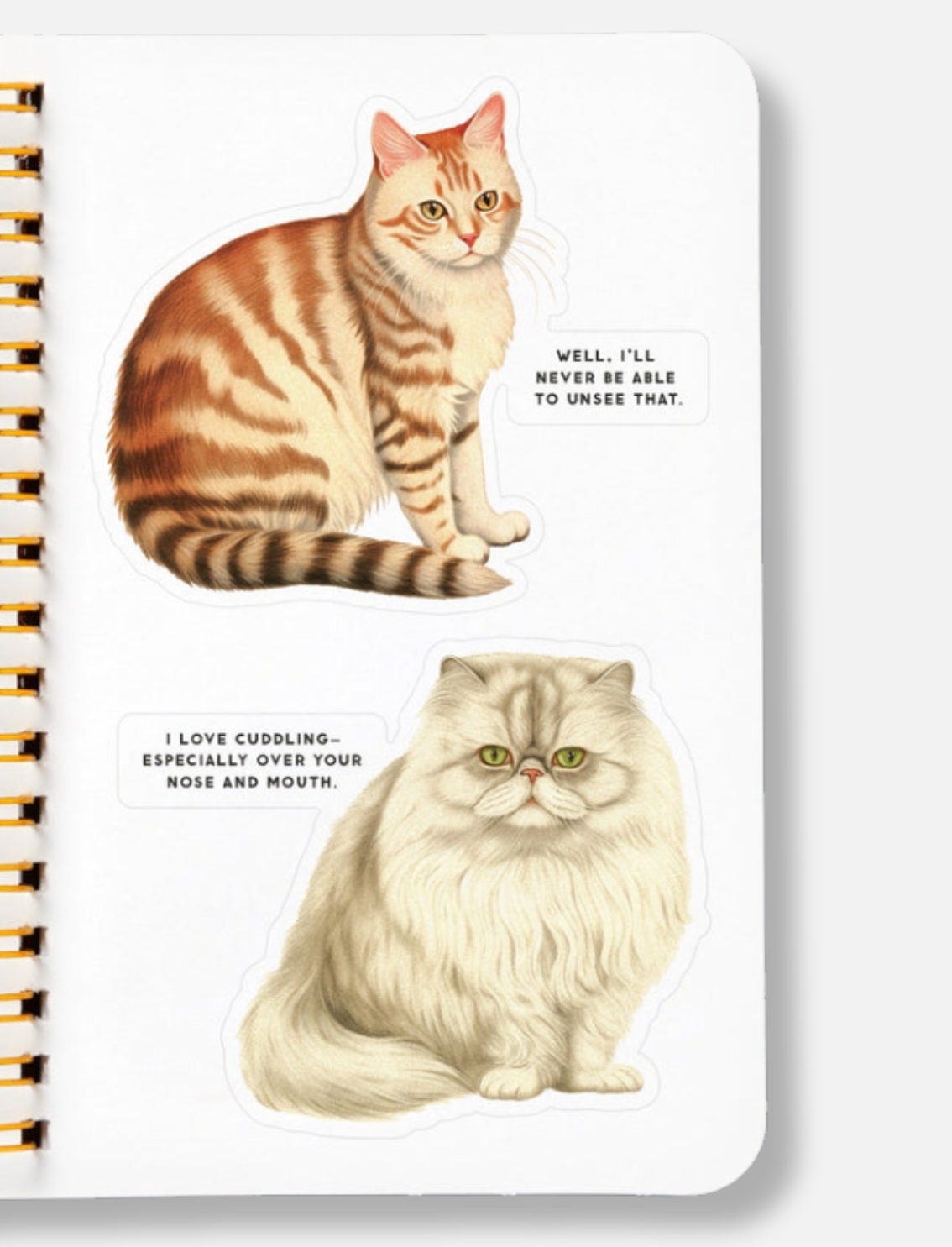 חוברת מדבקות Moody Cats