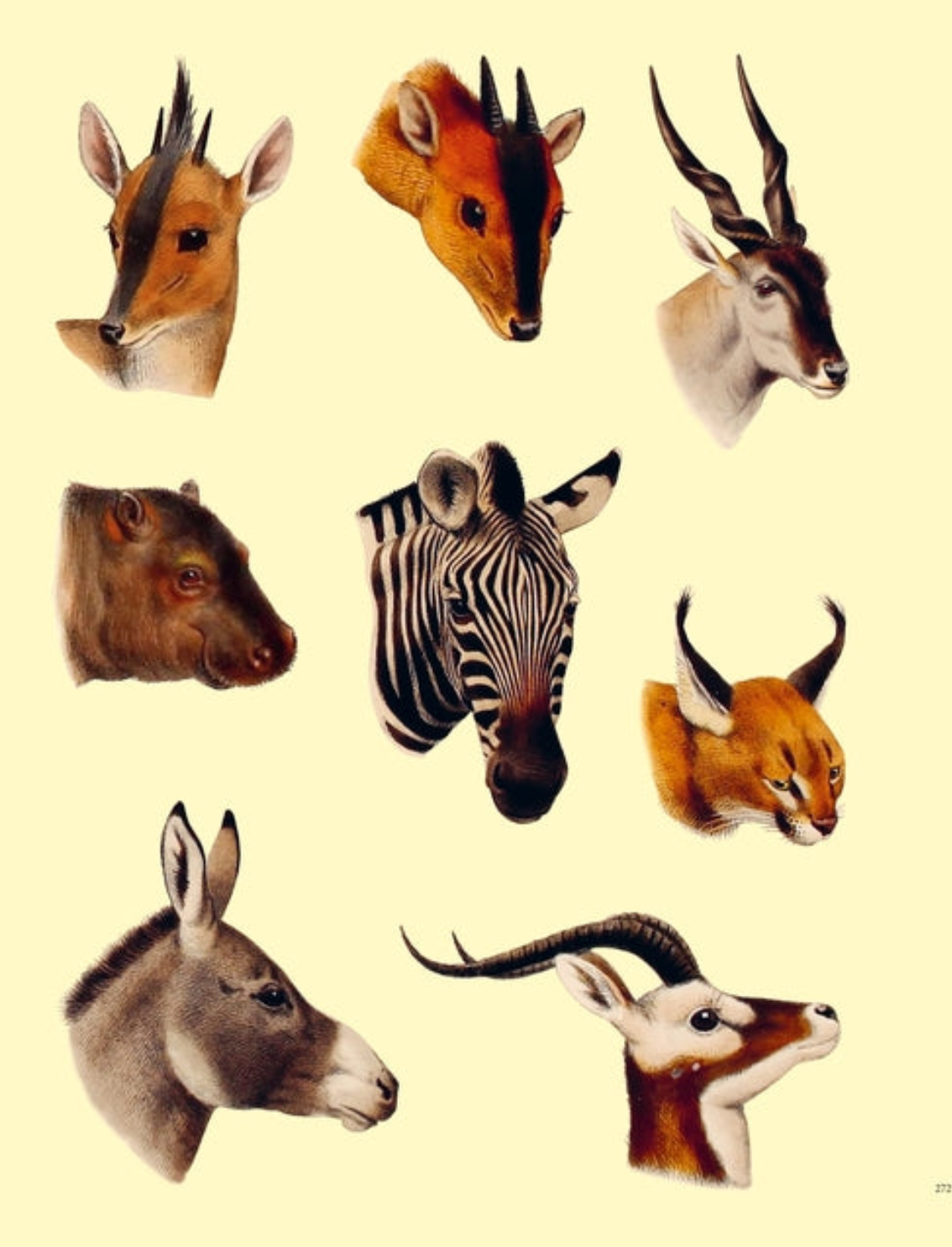 ספר מדבקות Extraordinary Things