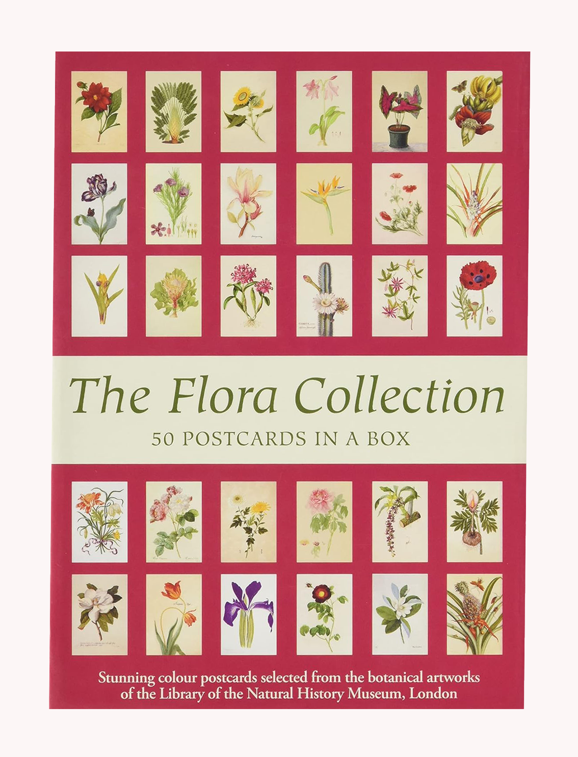 The Flor Collection מארז גלויות: The Flora Collection