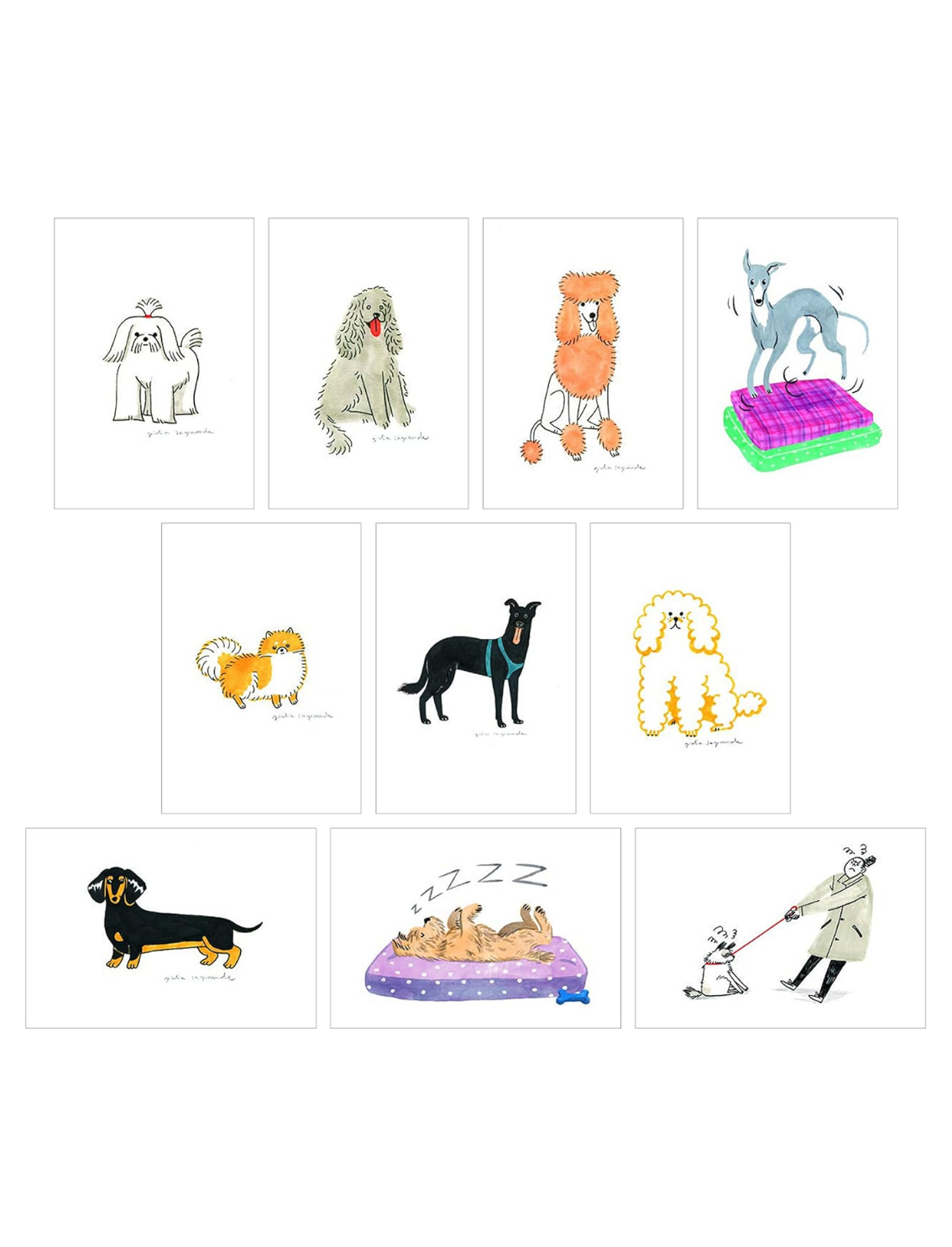 מארז 100 גלויות Dog Box