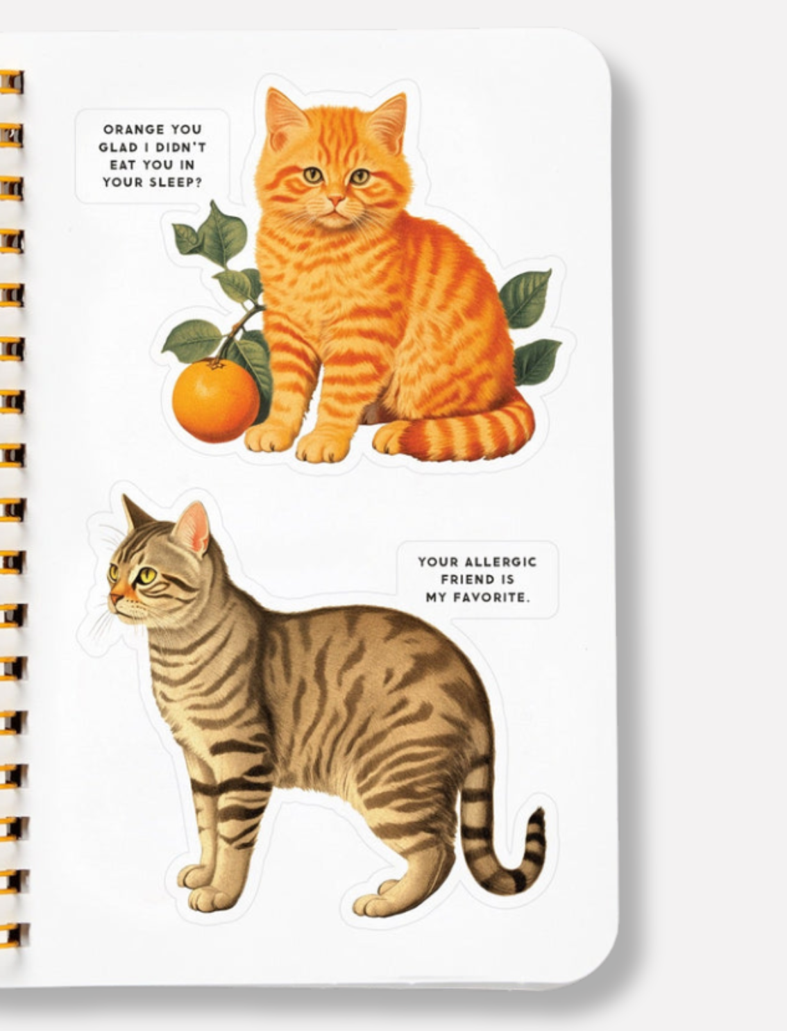 חוברת מדבקות Moody Cats