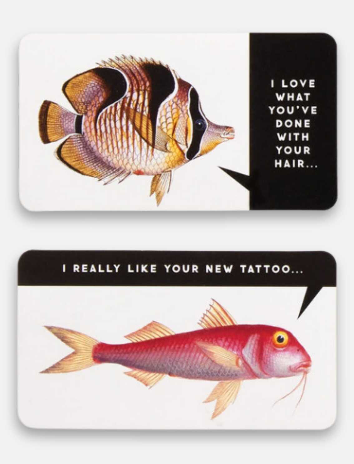 משחק קלפים Judgy Fish