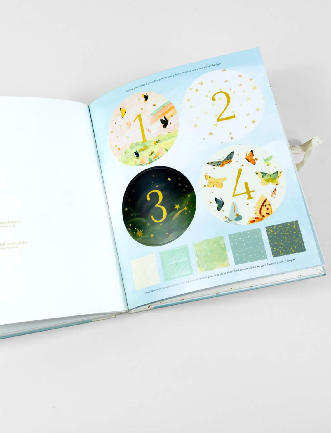 יומן מזכרות לתינוק: The Wonderful Baby You Are