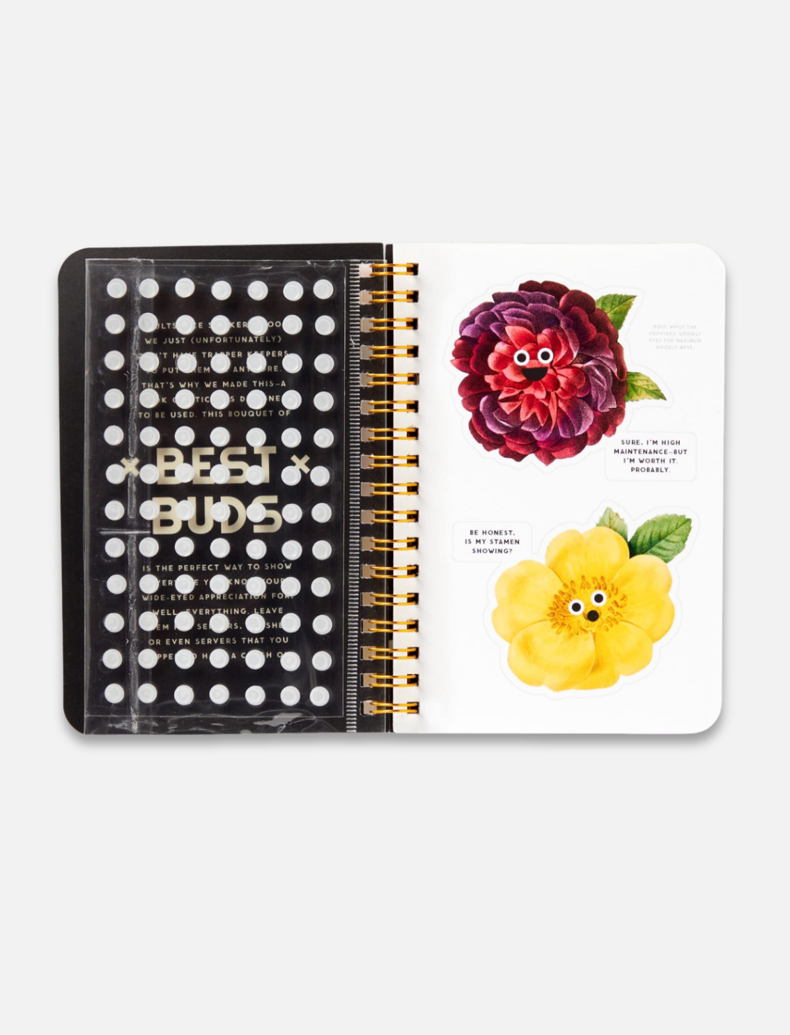 חוברת מדבקות Best Buds