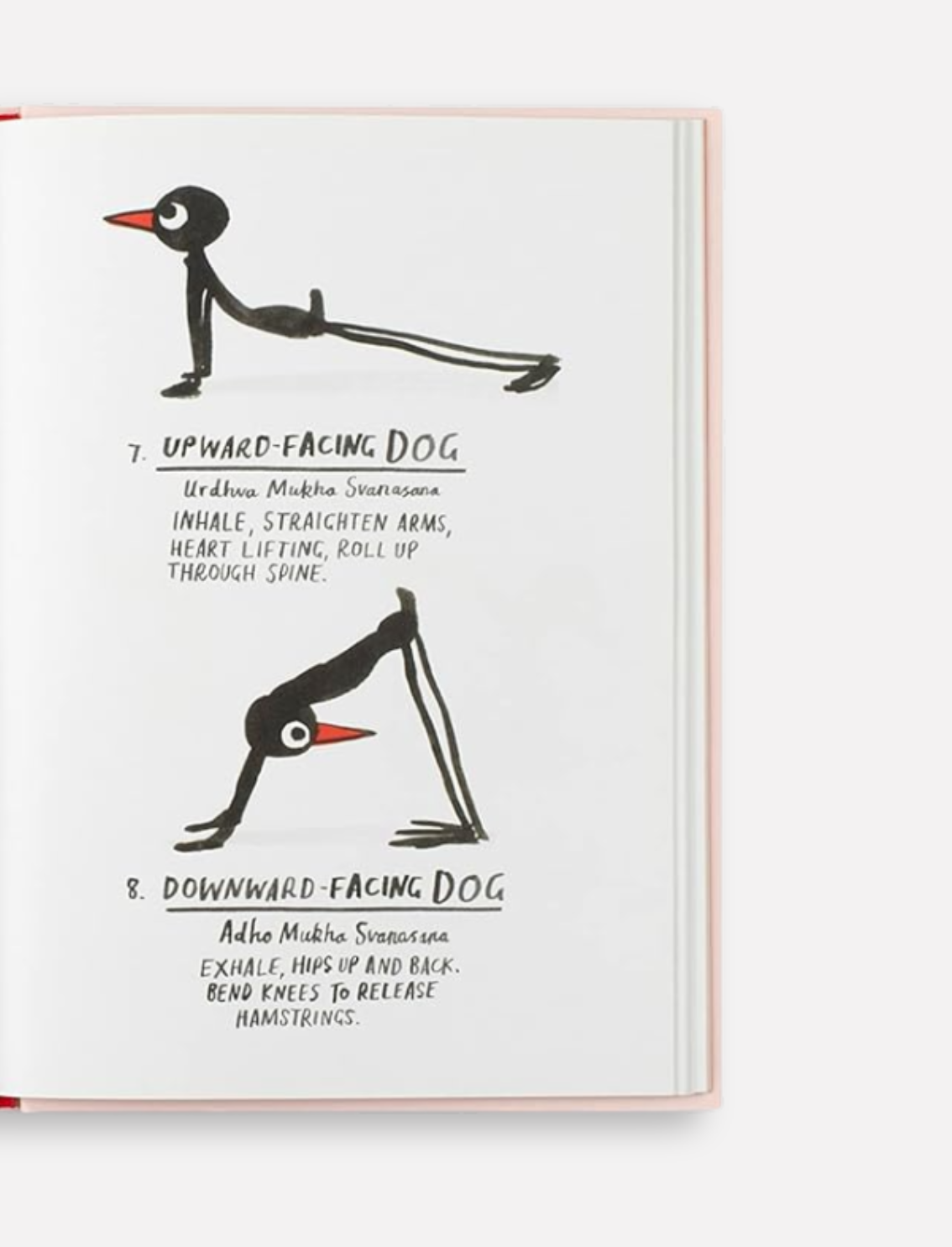 ספר התעמלות Yoga for Stiff Birds