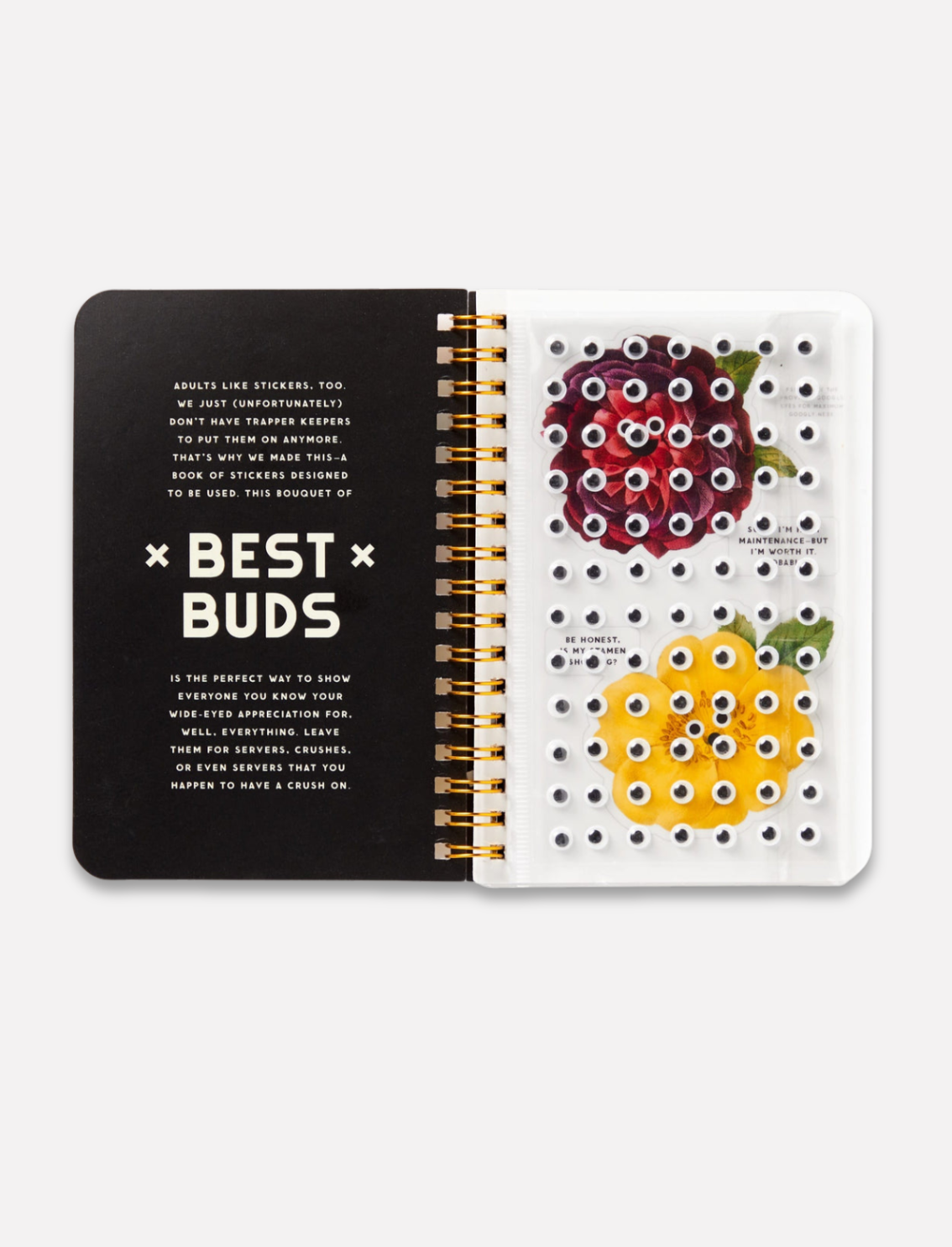 חוברת מדבקות Best Buds