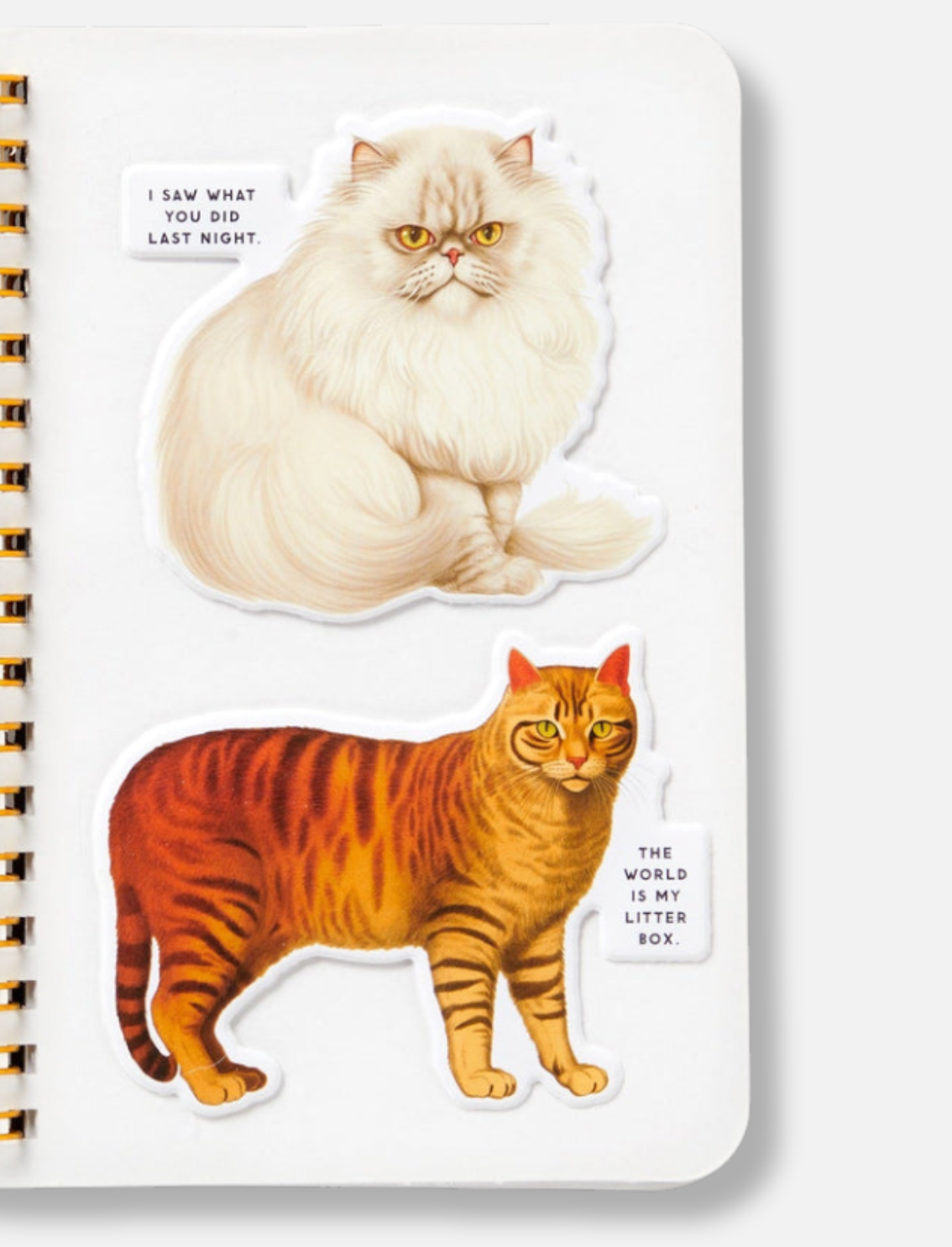 חוברת מדבקות Moody Cats