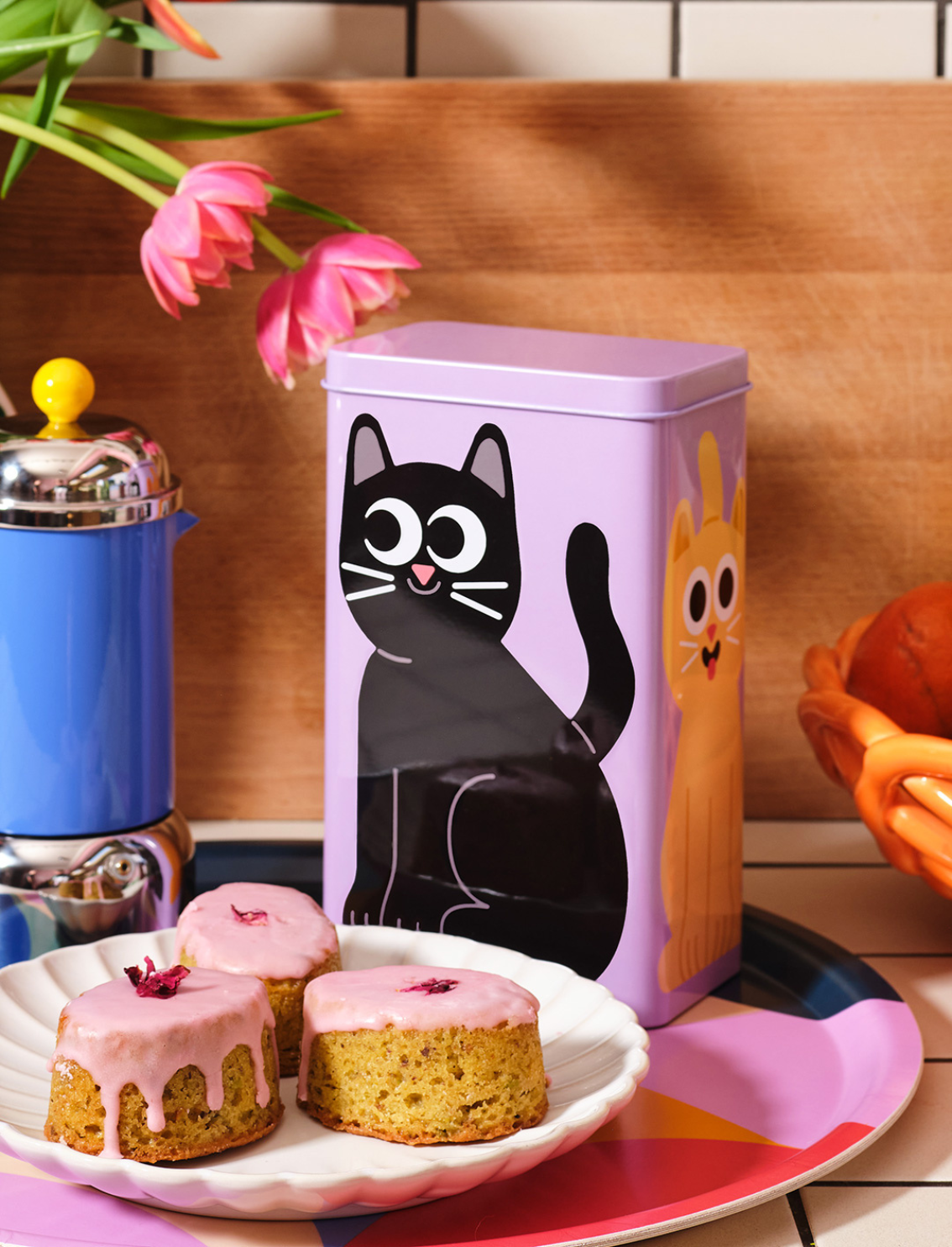 קופסת פח Cats
