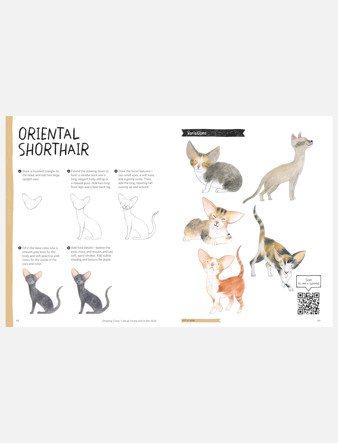 ספר יצירה: Cats Drawing Class
