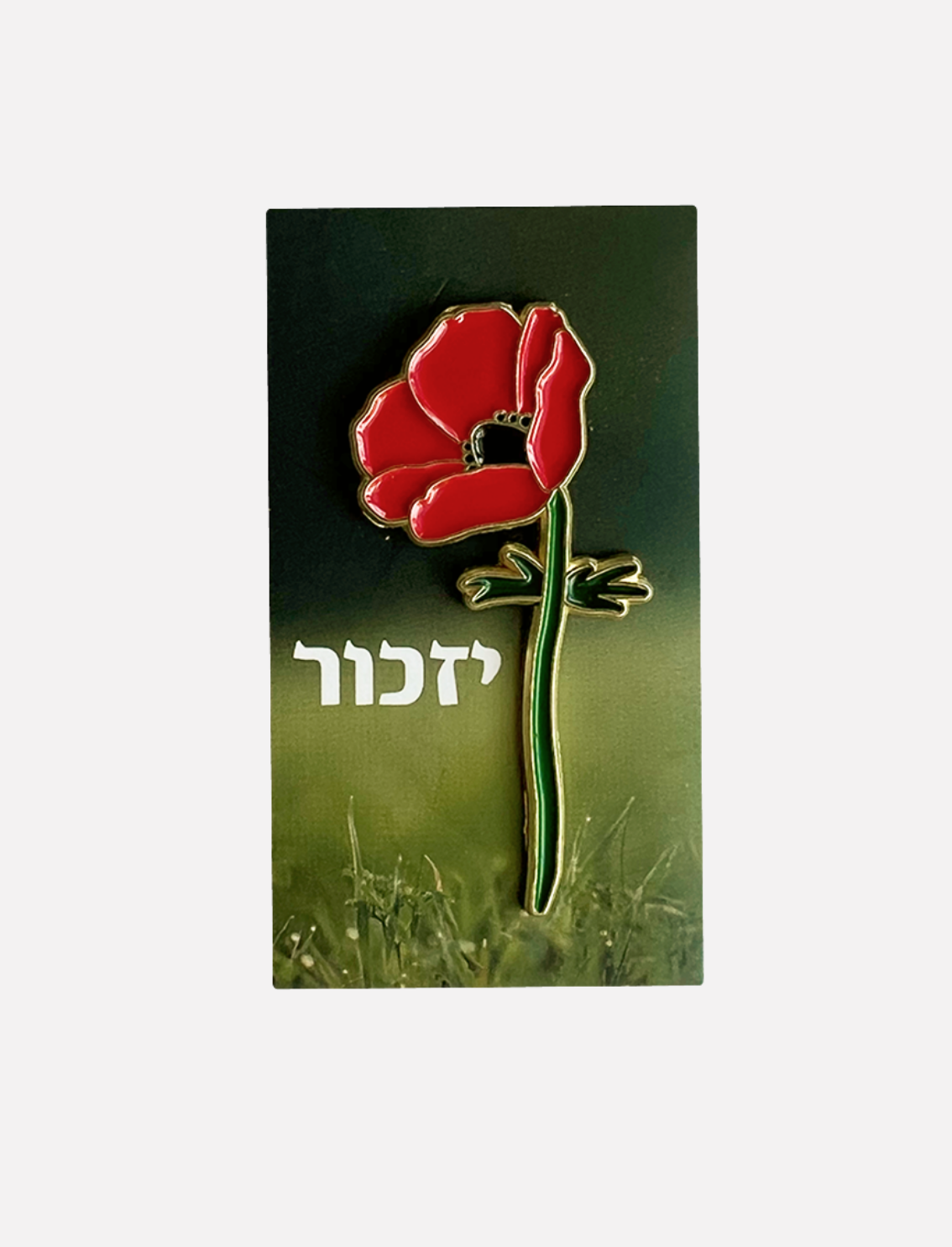 'סיכת דש 'פרויקט סיכת הכלנית