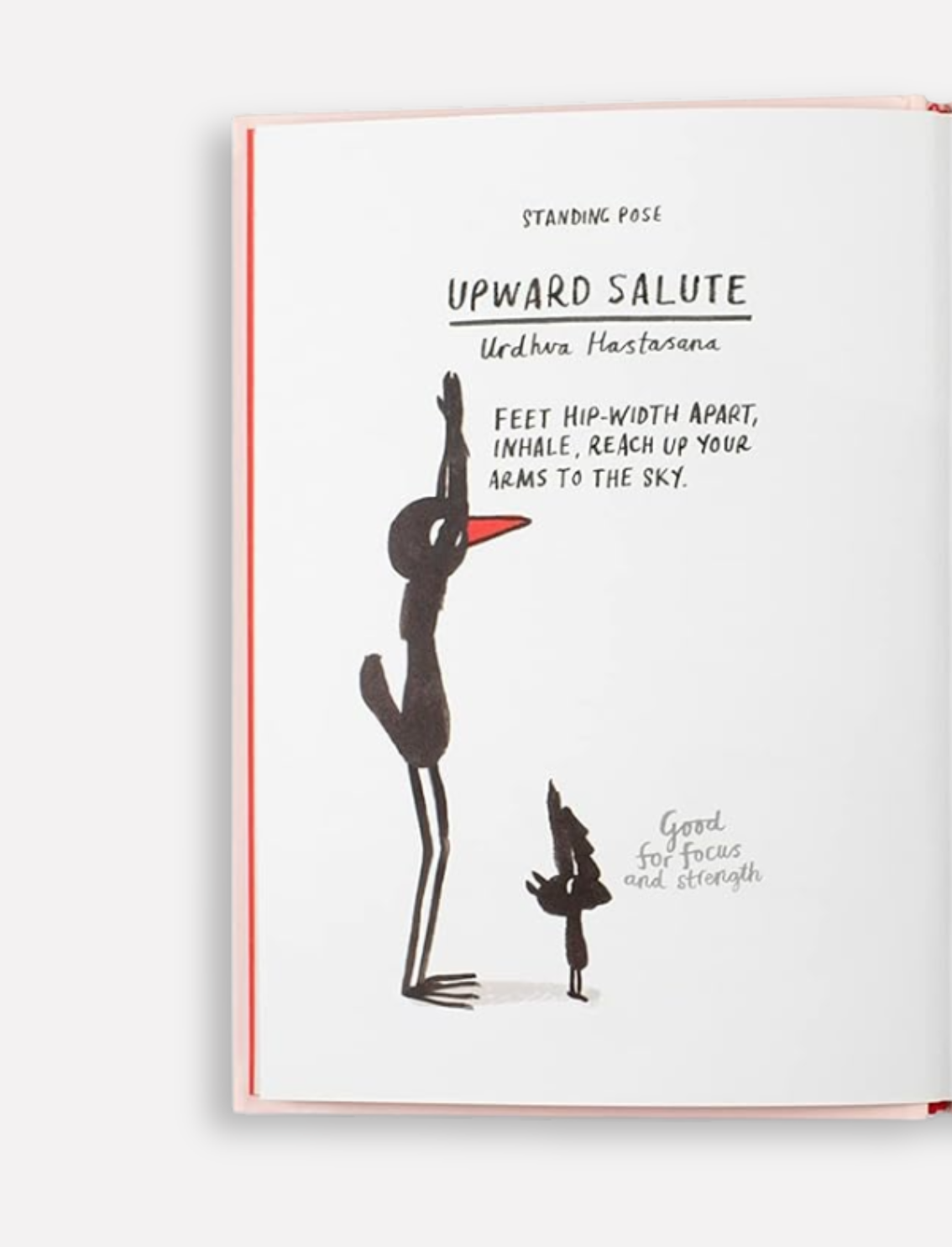 ספר התעמלות Yoga for Stiff Birds