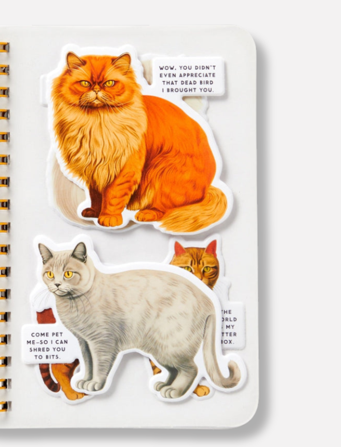 חוברת מדבקות Moody Cats