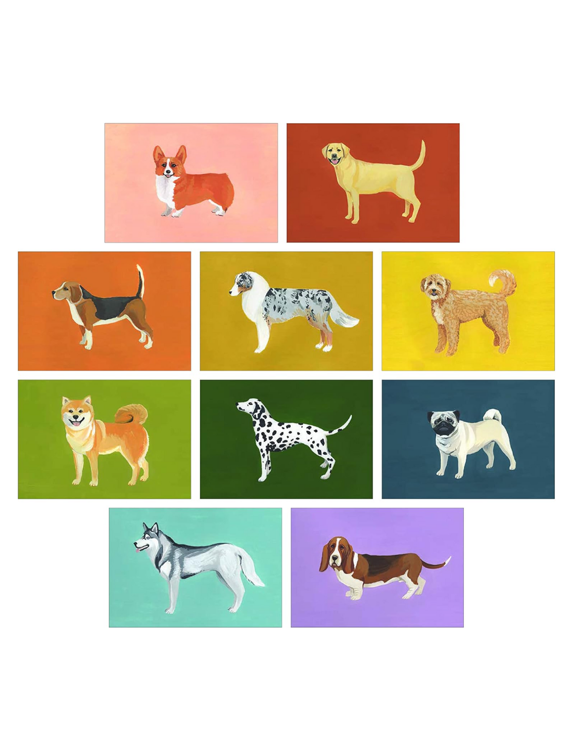 מארז 100 גלויות Dog Box