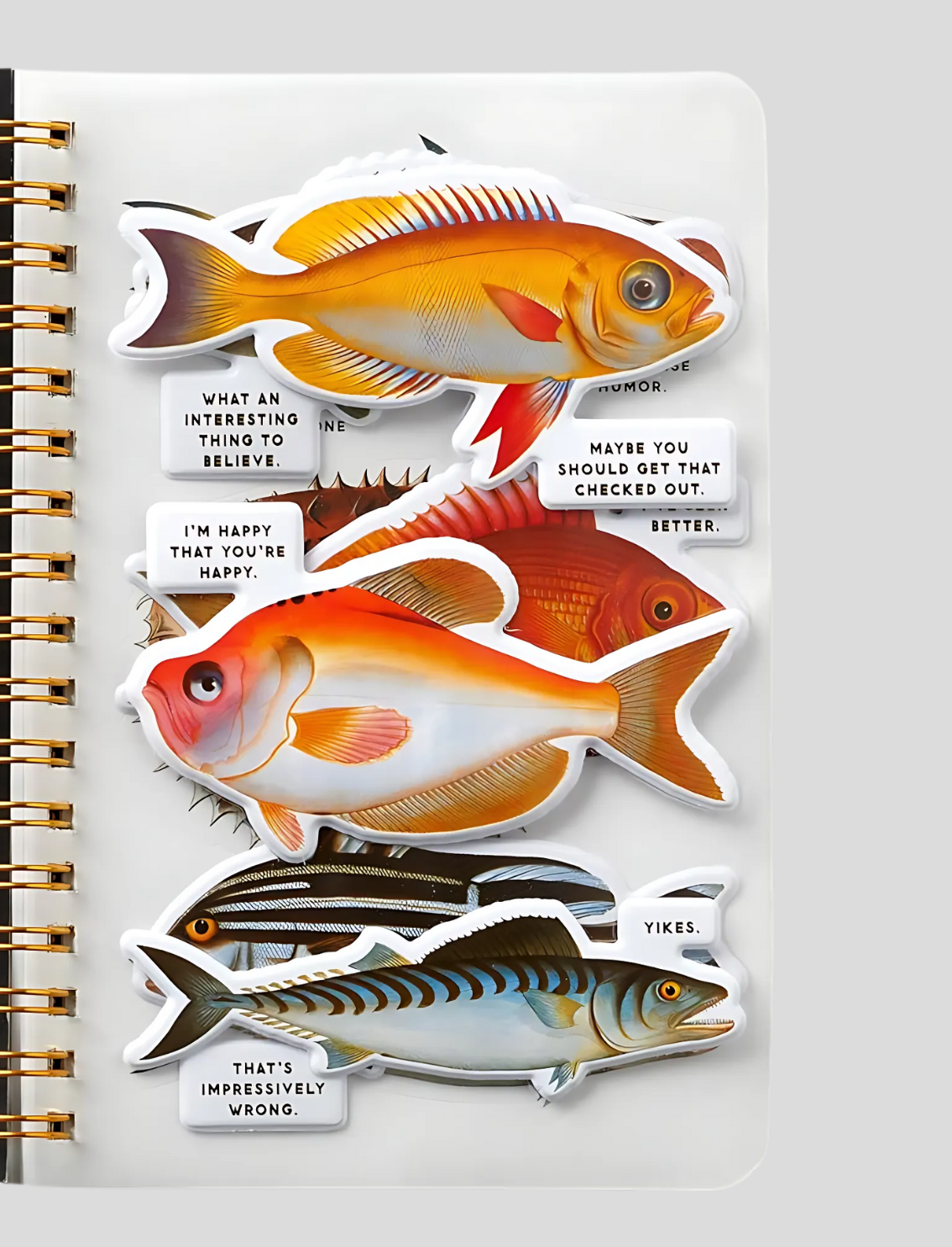 חוברת מדבקות Judgy Fish