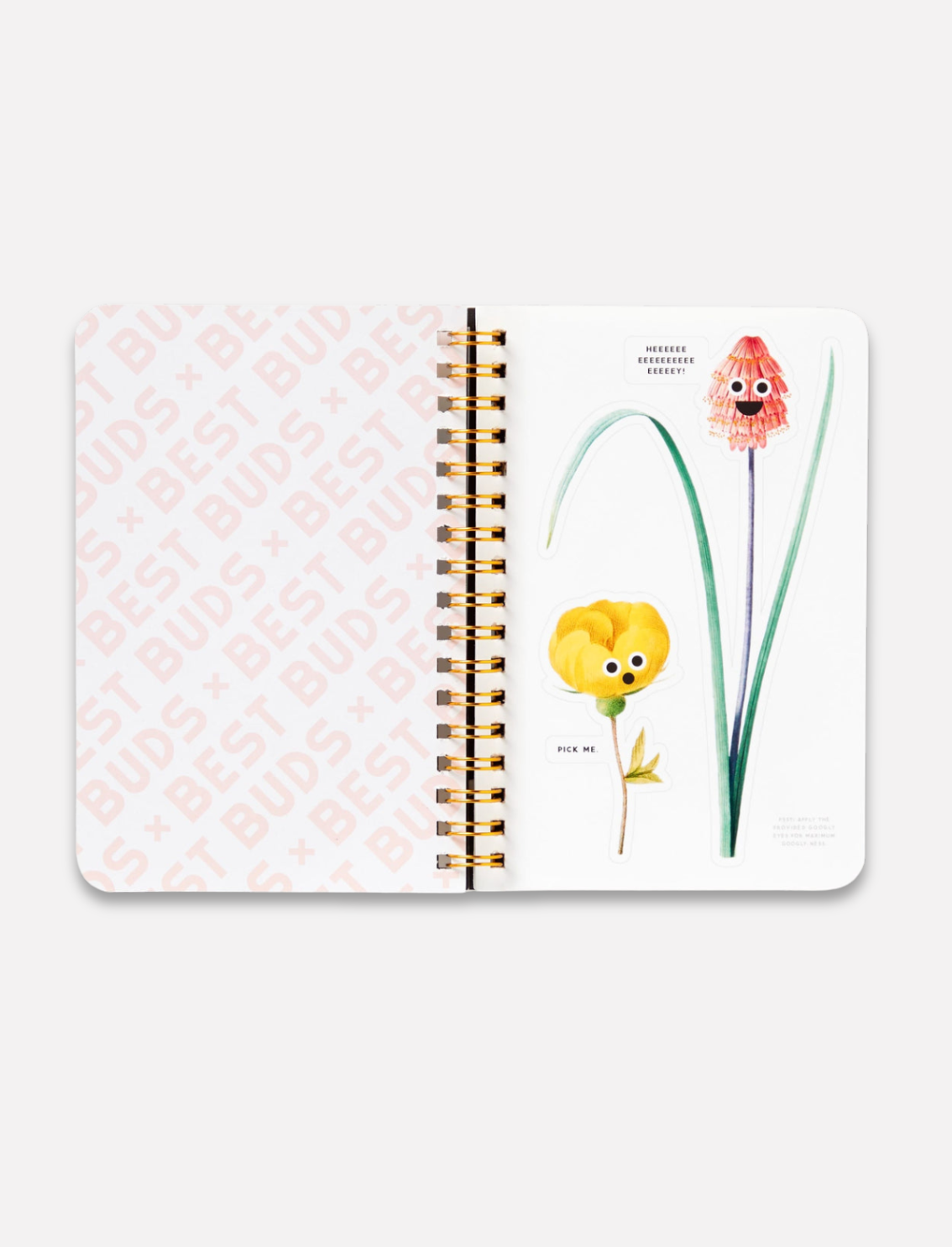 חוברת מדבקות Best Buds