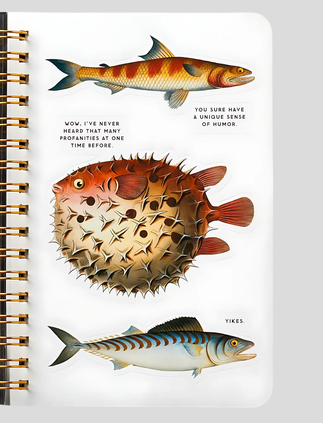 חוברת מדבקות Judgy Fish