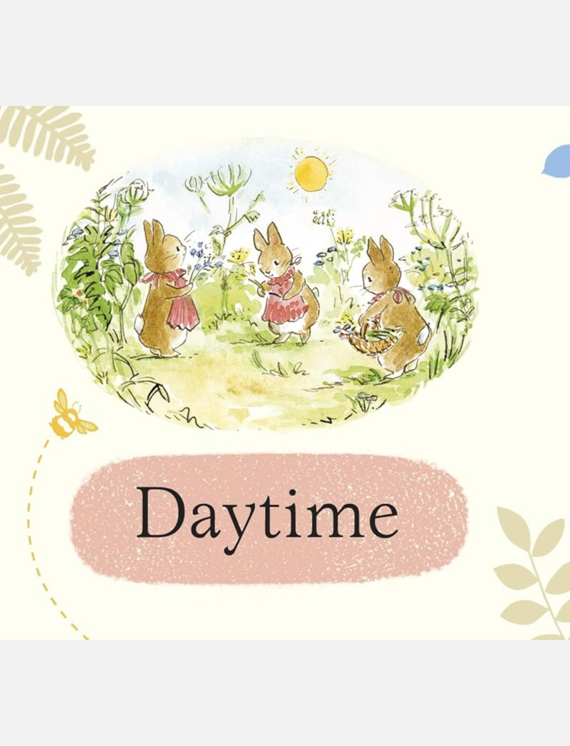 מארז ספרונים Little Library Peter Rabbit