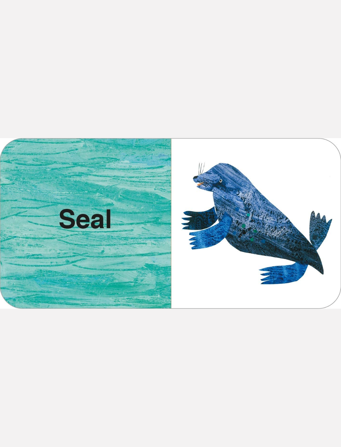 מארז ספרונים Eric Carle: Big Box of Little Books