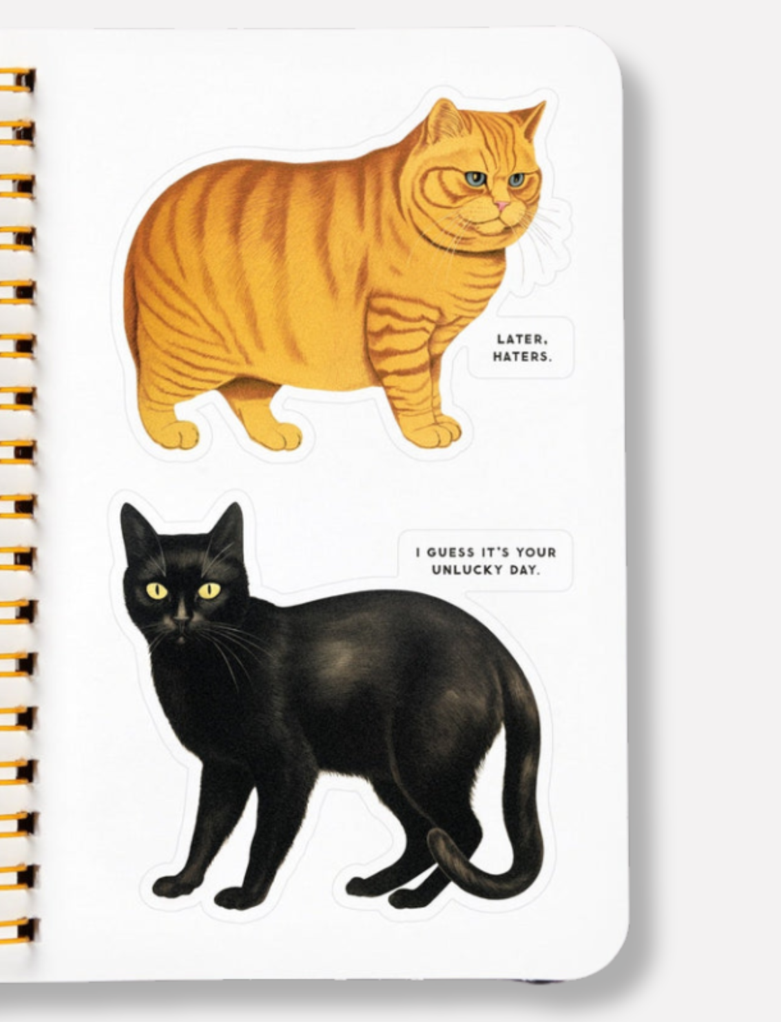 חוברת מדבקות Moody Cats