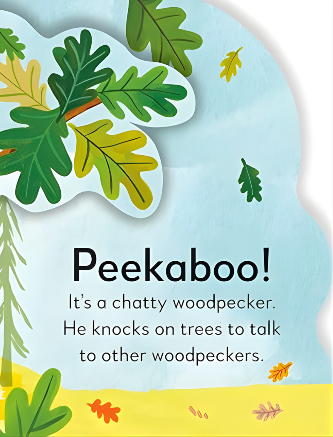 ספר פופ אפ: Peekaboo! Forest